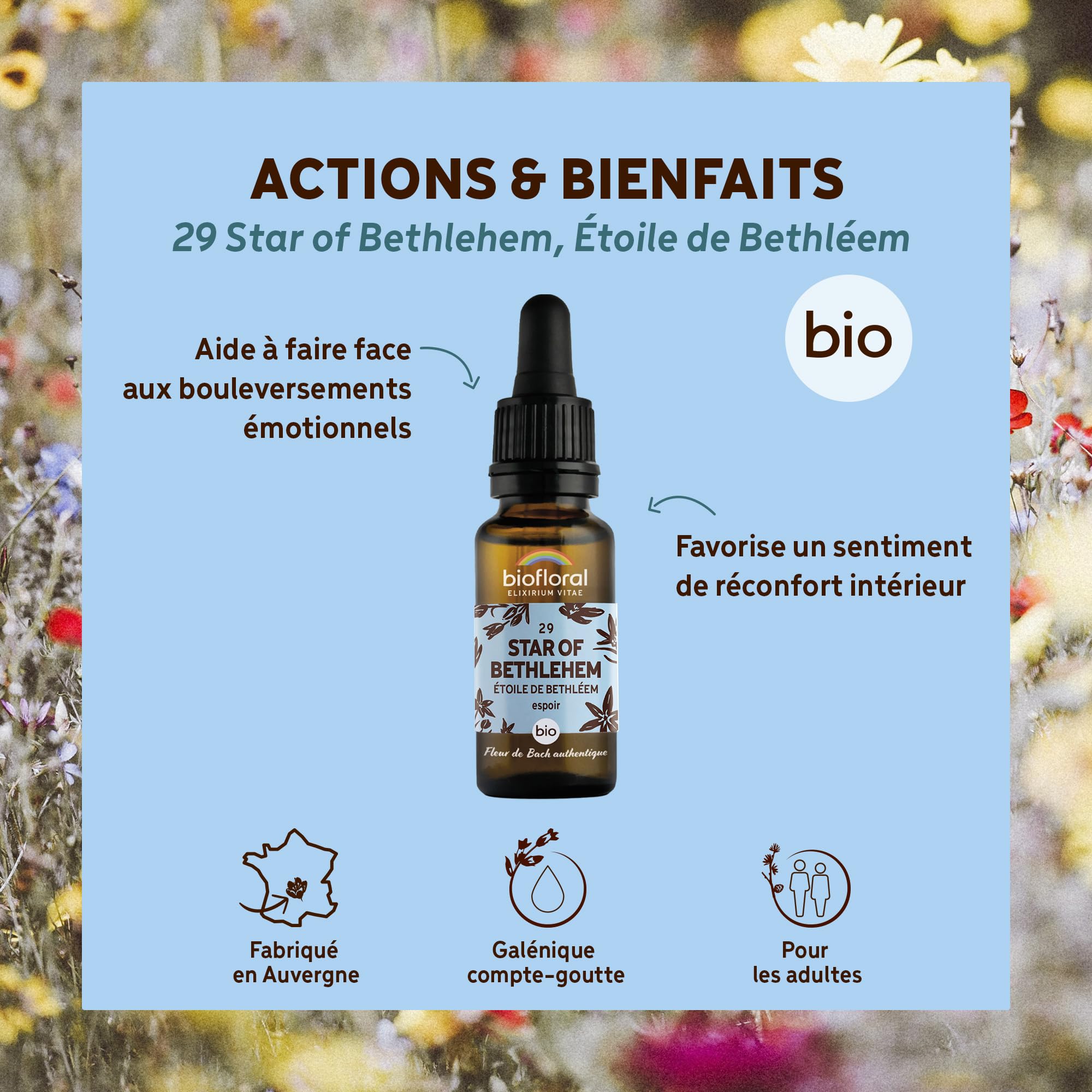 BIOFLORAL - 29 Star of Bethlehem, Estrella de Belén BIO DEMETER – Esperanza – Flor de Bach auténtica – Gotero 20 ML