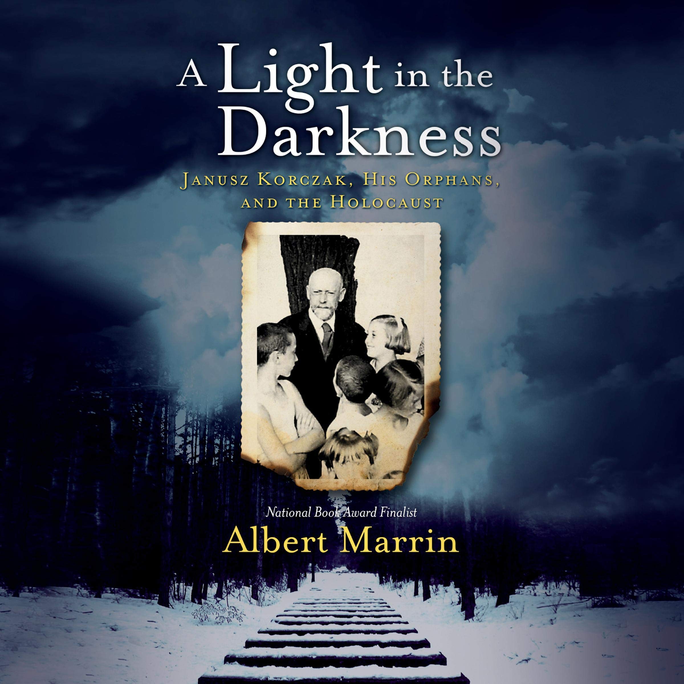 Cover art for A Light in the Darkness