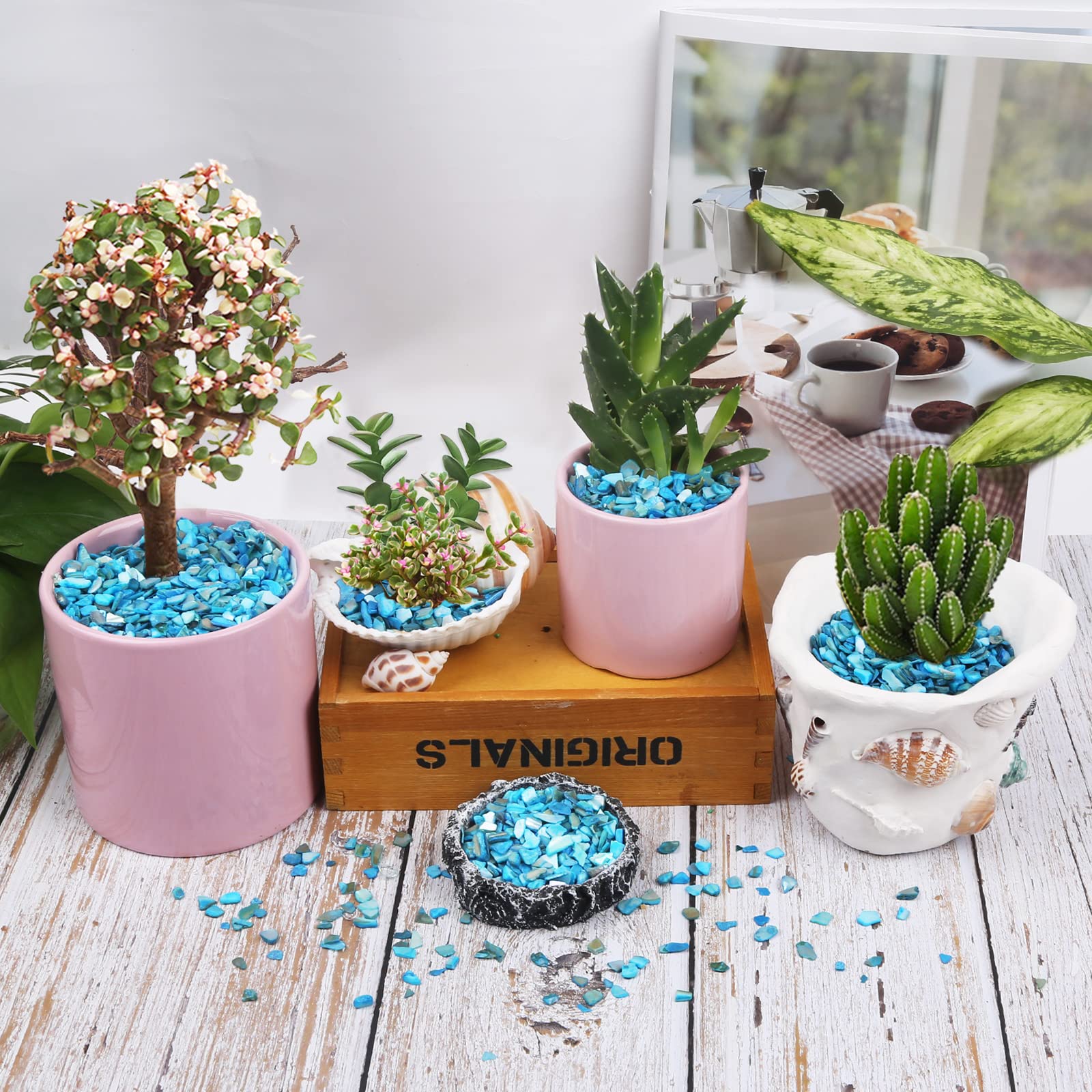 Amazon.co.jp: Luckybaby 貝殻 砕かれた貝殻 カラフルな工芸 DIY