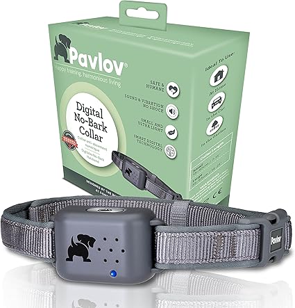 no bark collar