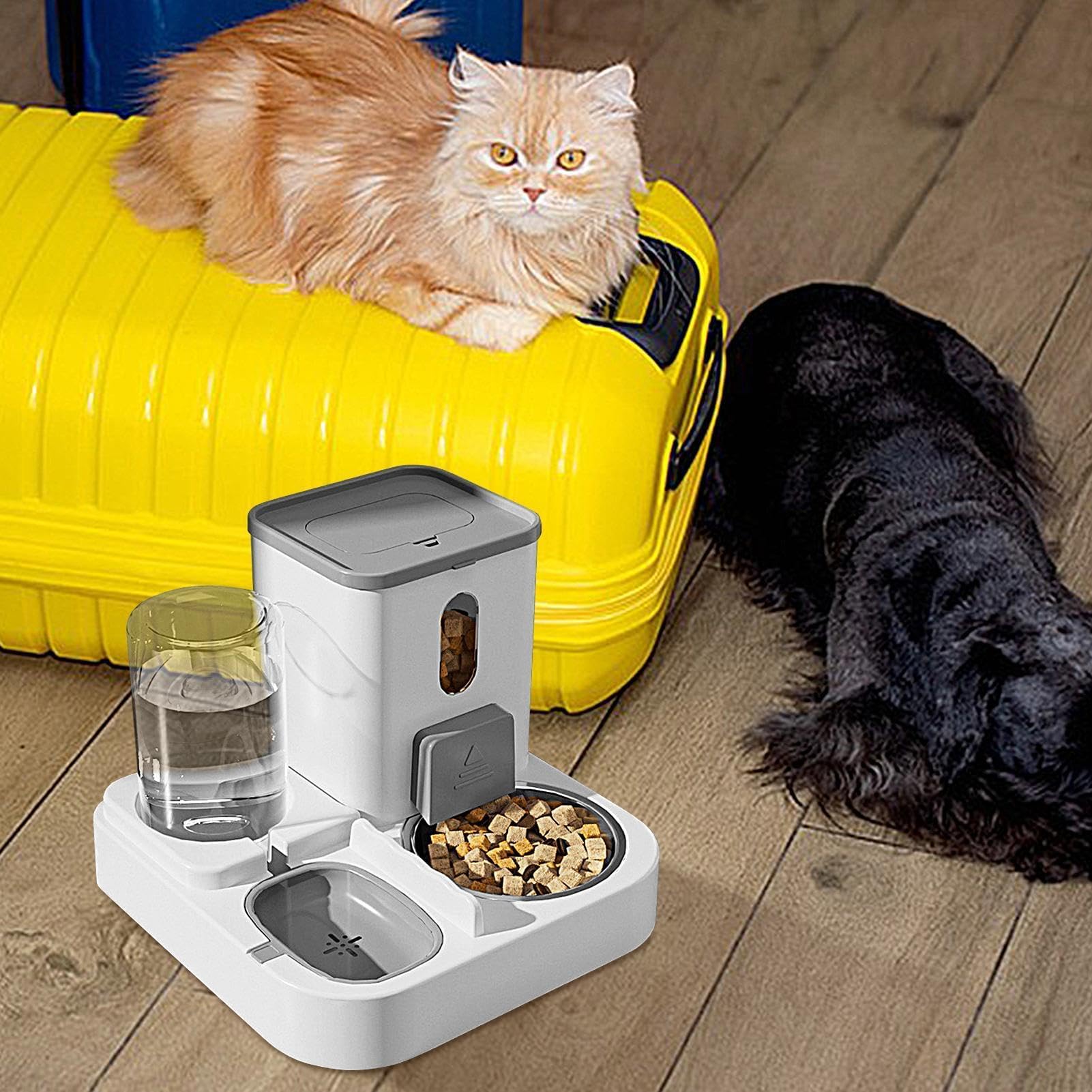 Contenitore for alimenti for cani(Gray)