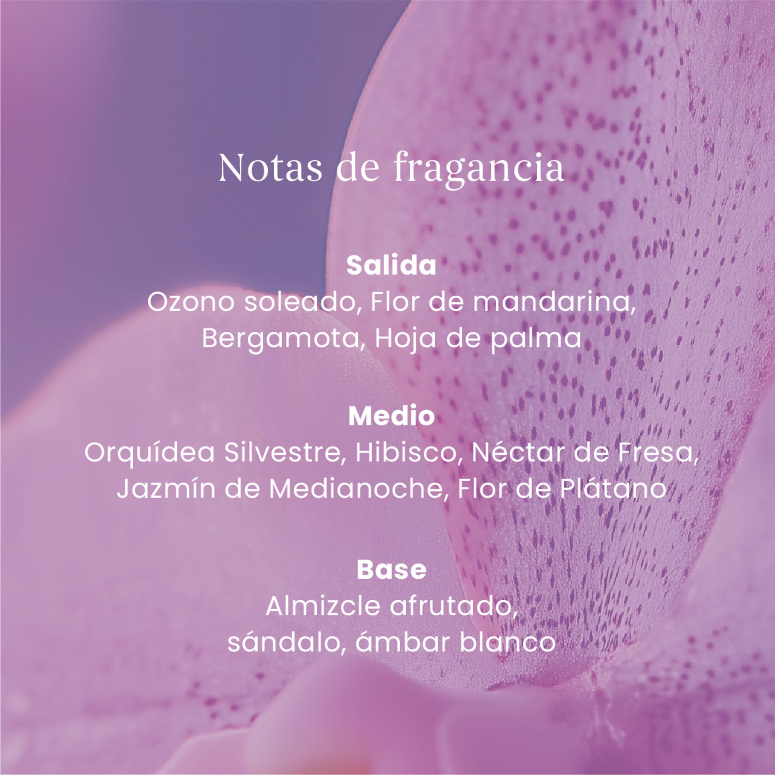 Yankee Candle Difusor de varillas | Orquídea salvaje | Para espacios pequeños y medianos | Hasta 10 semanas de fragancia