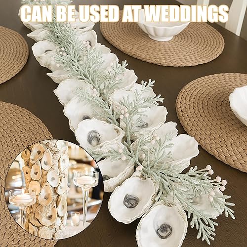 Miniatura 9 de 36 conchas de ostras naturales grandes de 5 a 6 pulgadas, conchas de ostras a granel para manualidades, decoración del hogar, rellenos de jarrones,