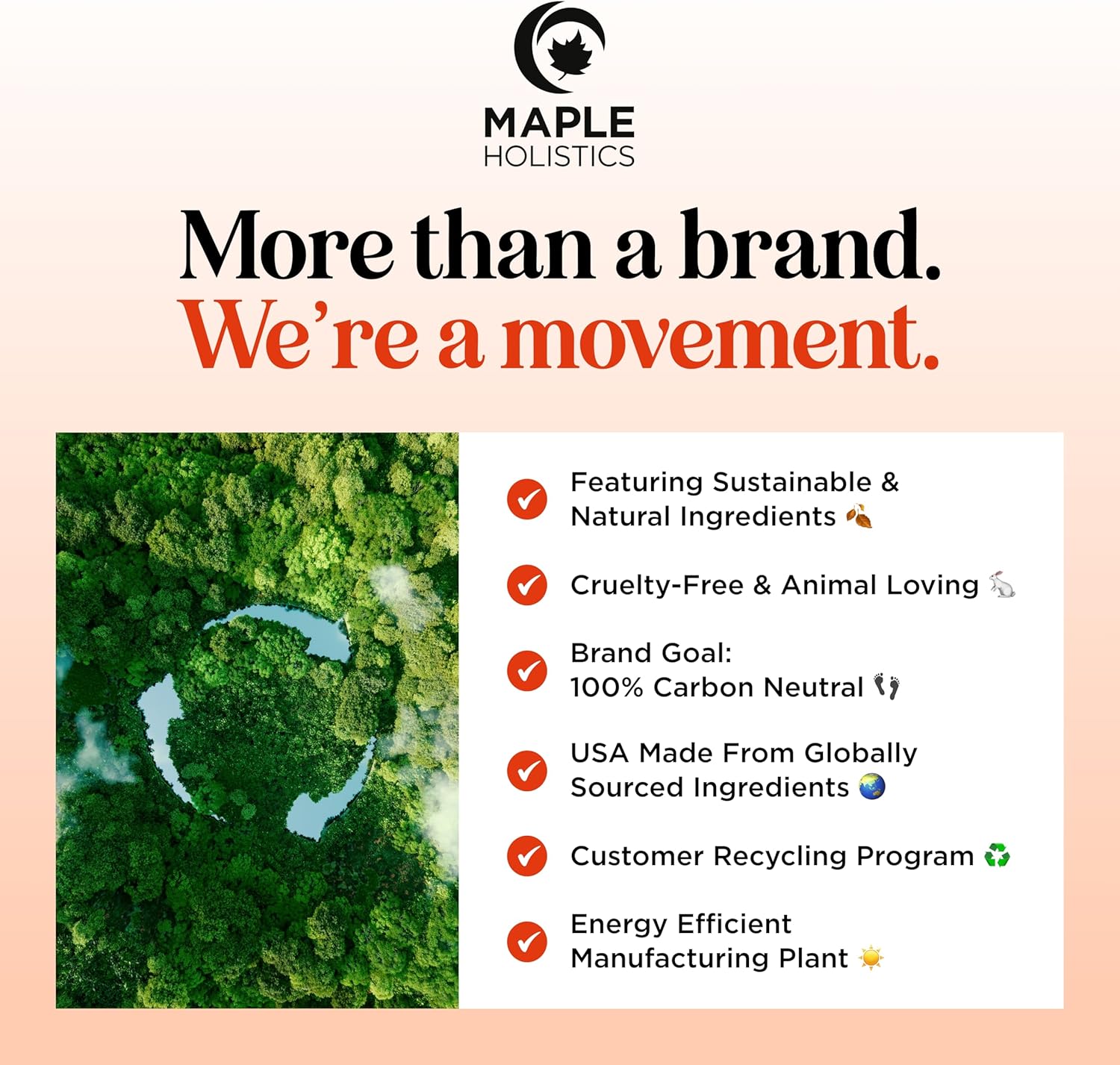 Relaxing Essential Oil Roll On - Aromatherapy Essential Oil Roller with Calming Essential Oils - Relaxing Essential Oil Blend with Lavender Ylang Ylang Chamomile & Geranium for Stress Support (3 Pack) - Image 8