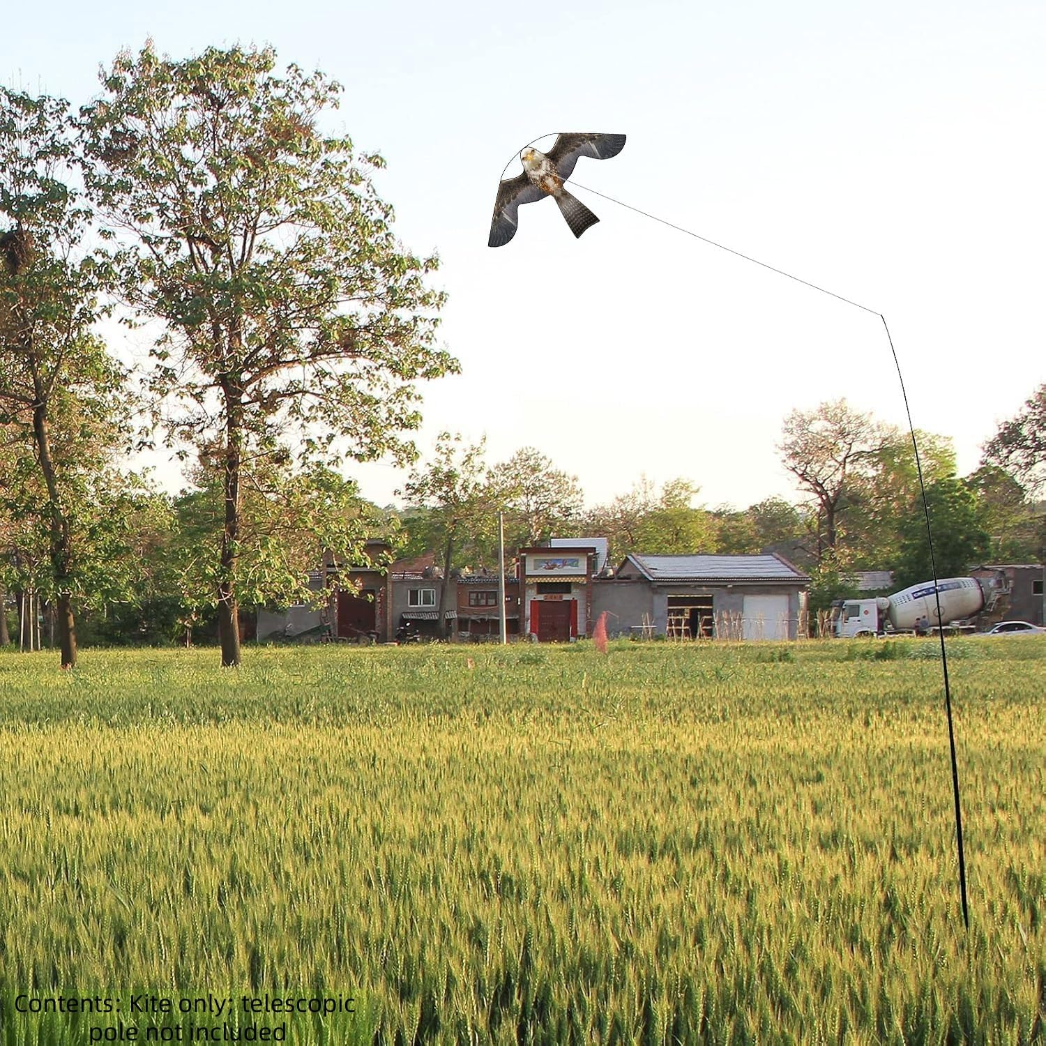 Oiseaux Faucon Volant Cerf-volant avec perche Effrayeur de pigeons professionnel