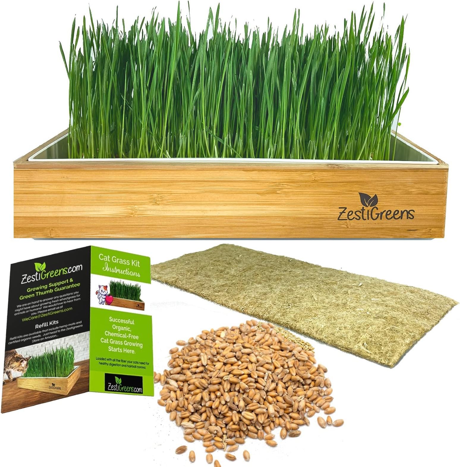 Self-Watering Cat Grass Kit – Grow Fresh, Living Cat Grass at Home in 5–7 Days | No Soil, No Mess | Organic Wheatgrass Seeds | Large Reusable Indoor Tray