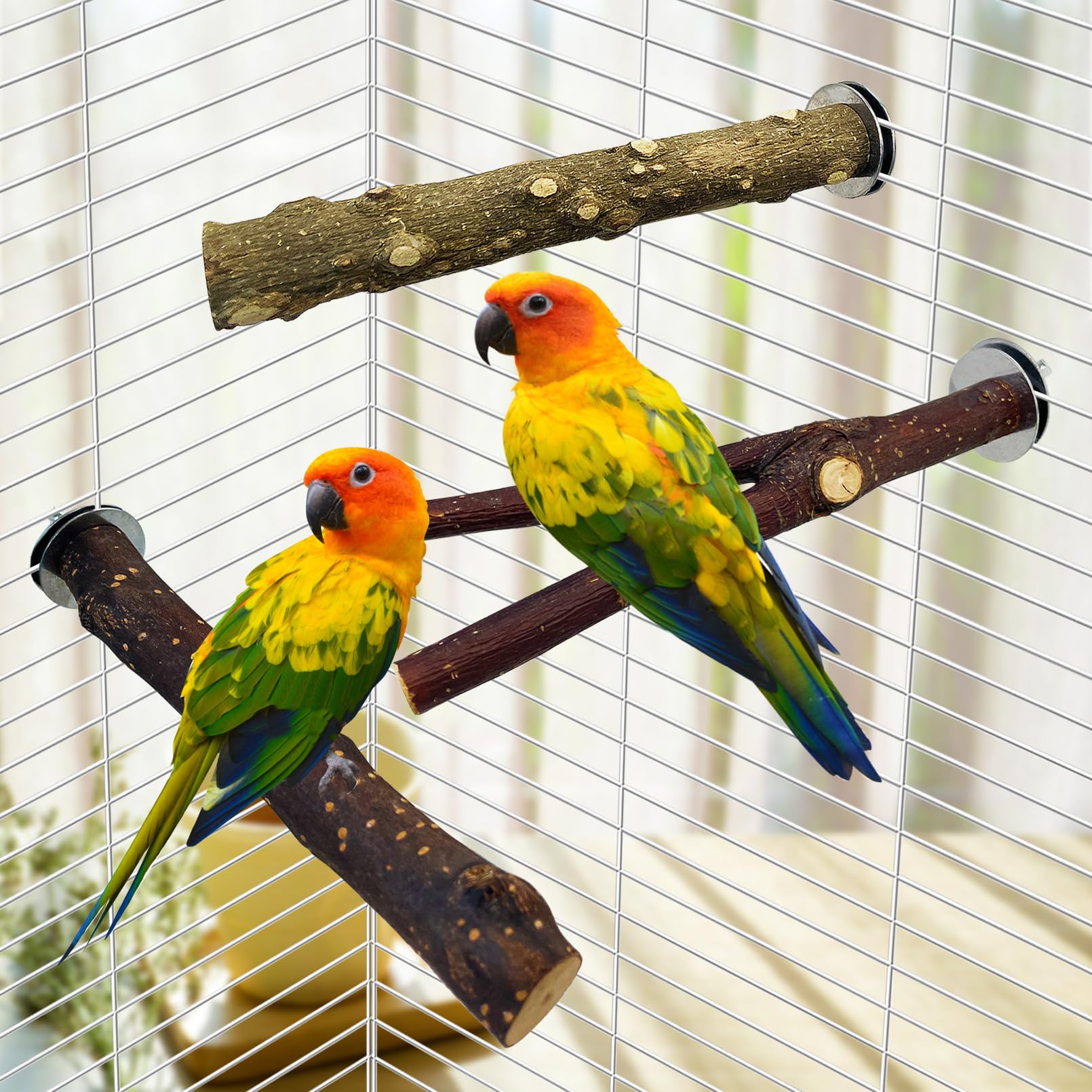 BNOSDM 5PCS Bird Perches Stand with Mirror Parrot Natural Wood Stick Perches Forked Perch Branch Parakeet Toy Set Bird Cage Accessories for Budgie Cockatiel Conure Finch Lovebird - image 7