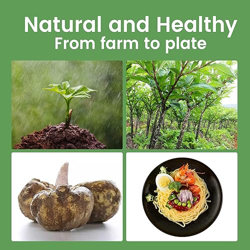 Miniatura 27 de Hethstia Konjac Fettuccine de fideos, pasta Shirataki baja en carbohidratos, apta para dieta keto y paleo, sin gluten, vegano, bajo en calorías