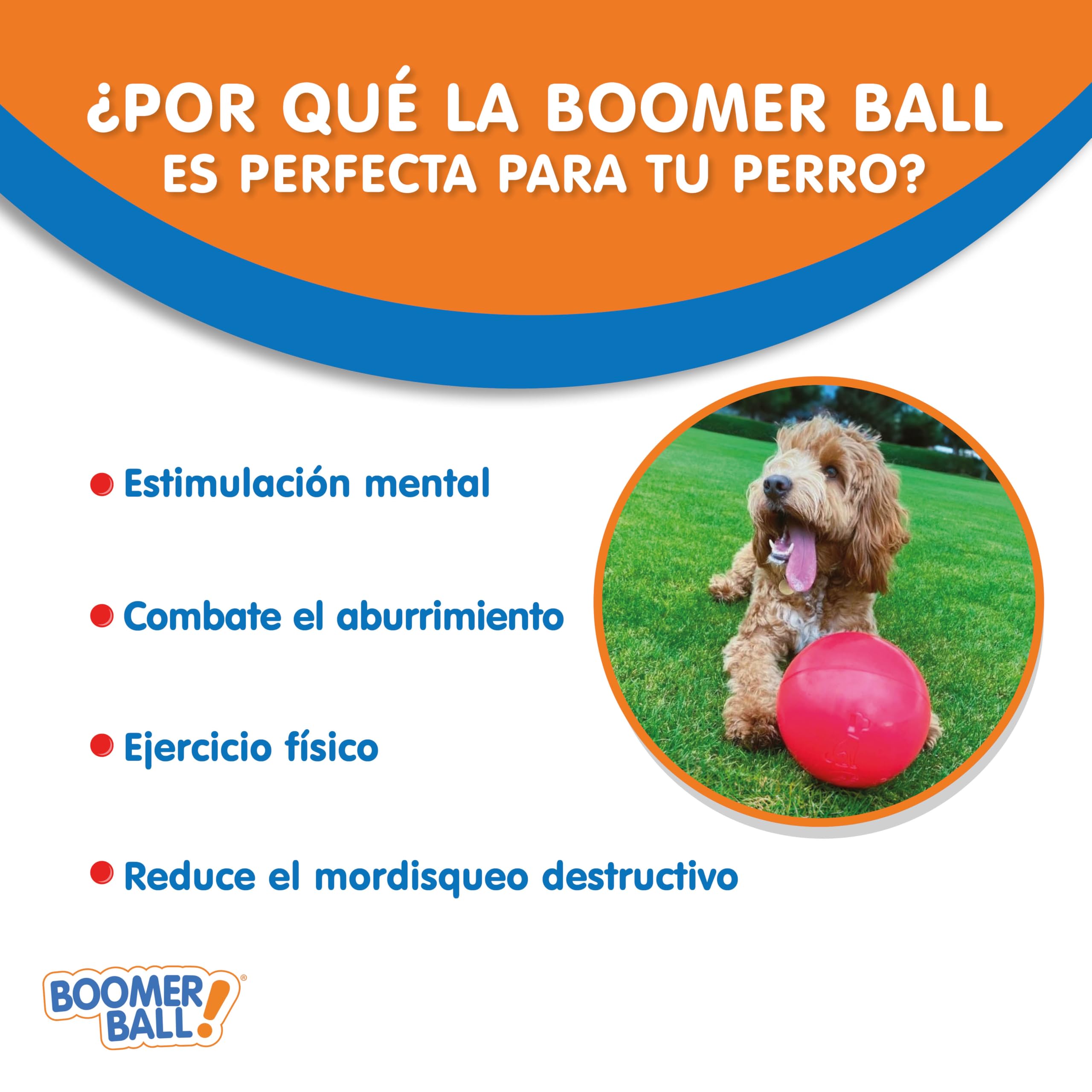 BOOMER BALL - Pelota para perros prácticamente indestructible. Pelota fuerte y duradera que flota en el agua para perros. Balón de fútbol para perros medianos de alta energía (Talla 200 mm)