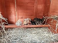 Review Image by Kaylie Moody Kaylie Moody