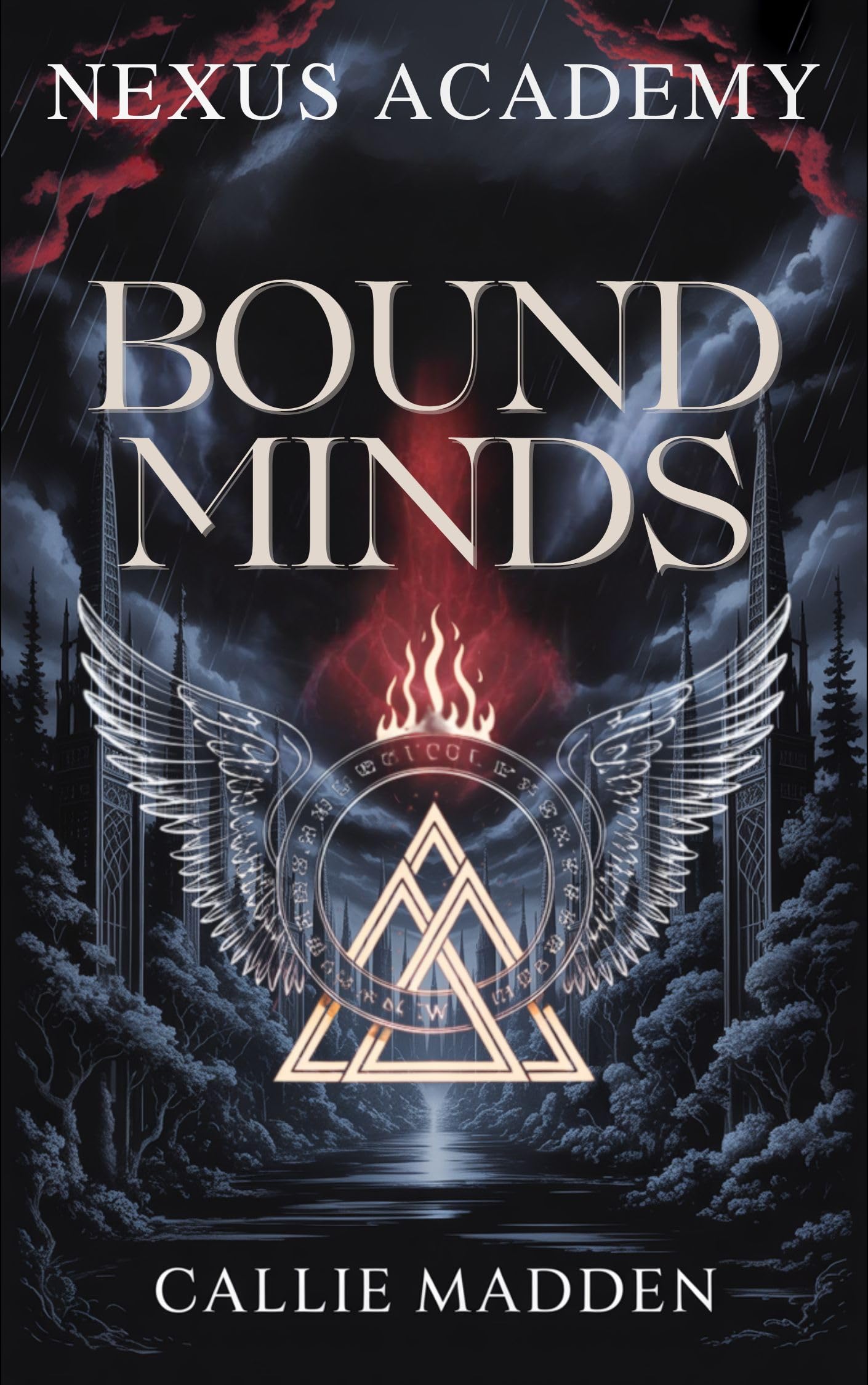 Nexus Academy 4: Bound Minds