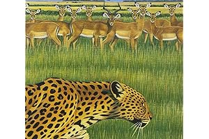 Zoo Too: Plastic Fantastic Remixes