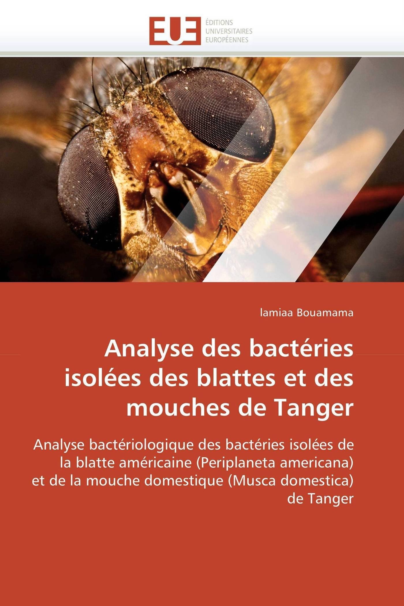 Analyse des bactéries isolées des blattes et des mouches de Tanger (Omn.Univ.Europ.)