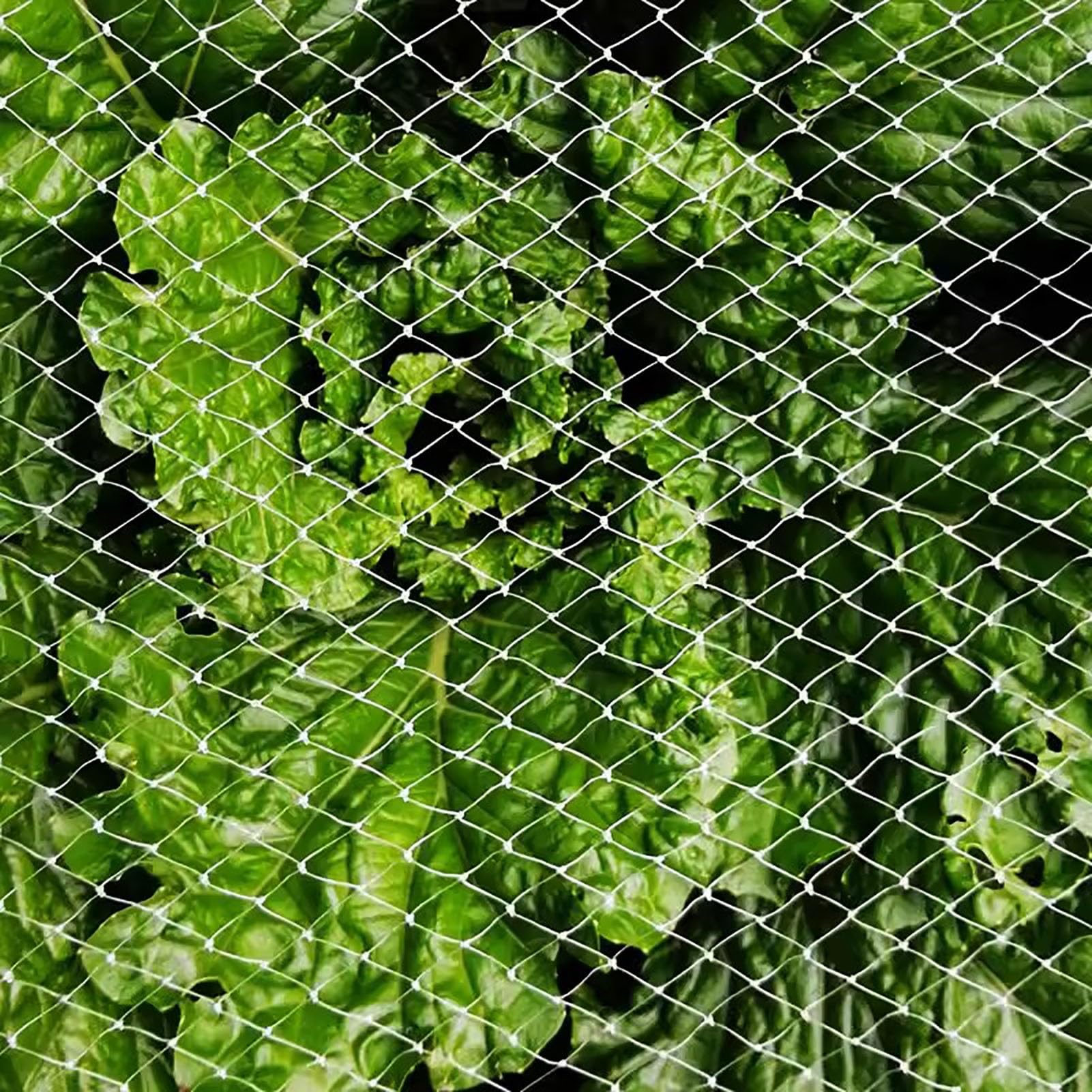 Red comercial anti pájaros para árboles frutales – 5 x 20 m (16 x 66 pies) Red de protección de arándanos y ciervos para jardín de 6.5 pies a 50 pies