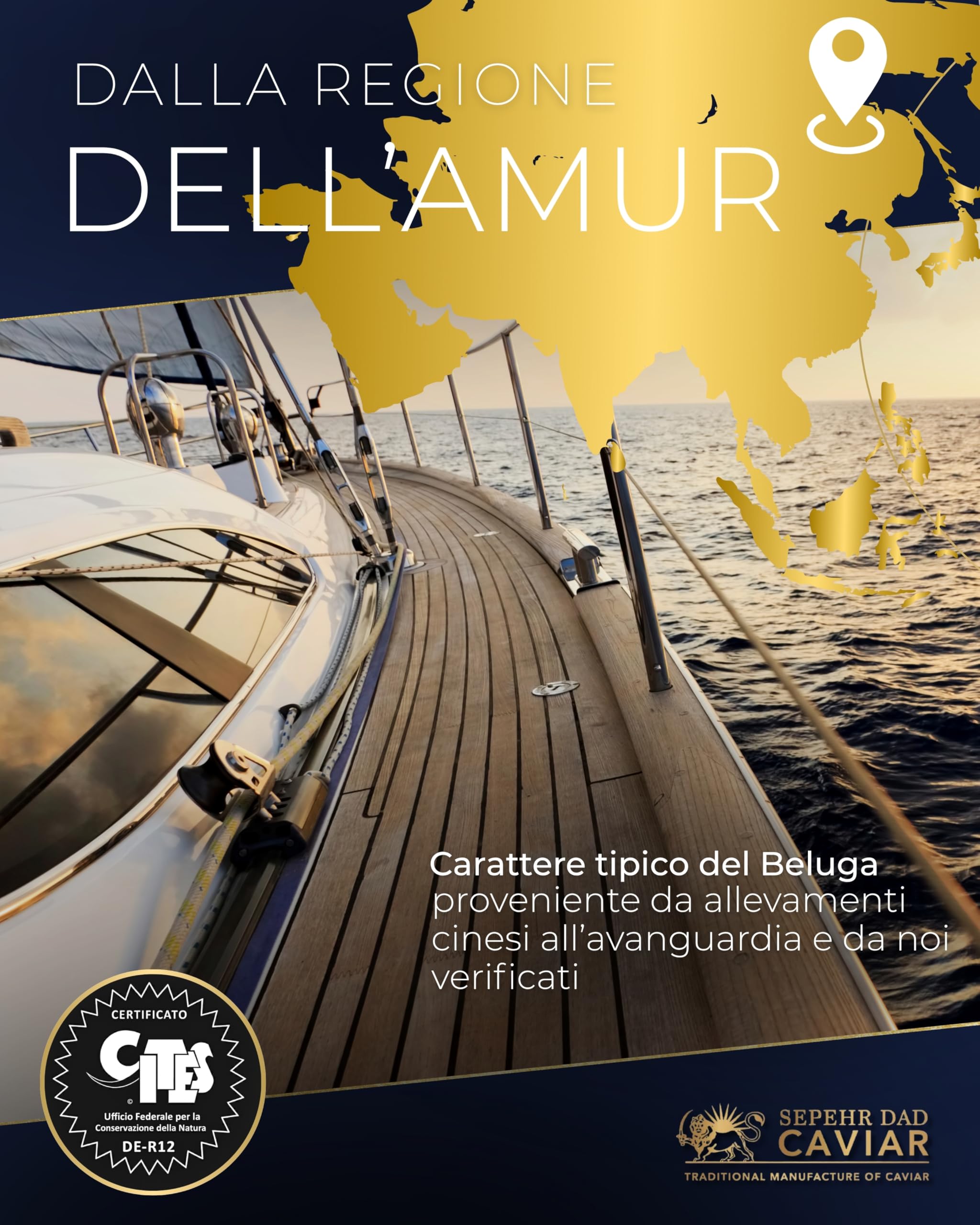 Sepehr Dad Caviar Caviale Beluga Amur 50g (caviale di storione ibrido) | Uova di pesce di classe A | allevamento Cn | 50 g - 3