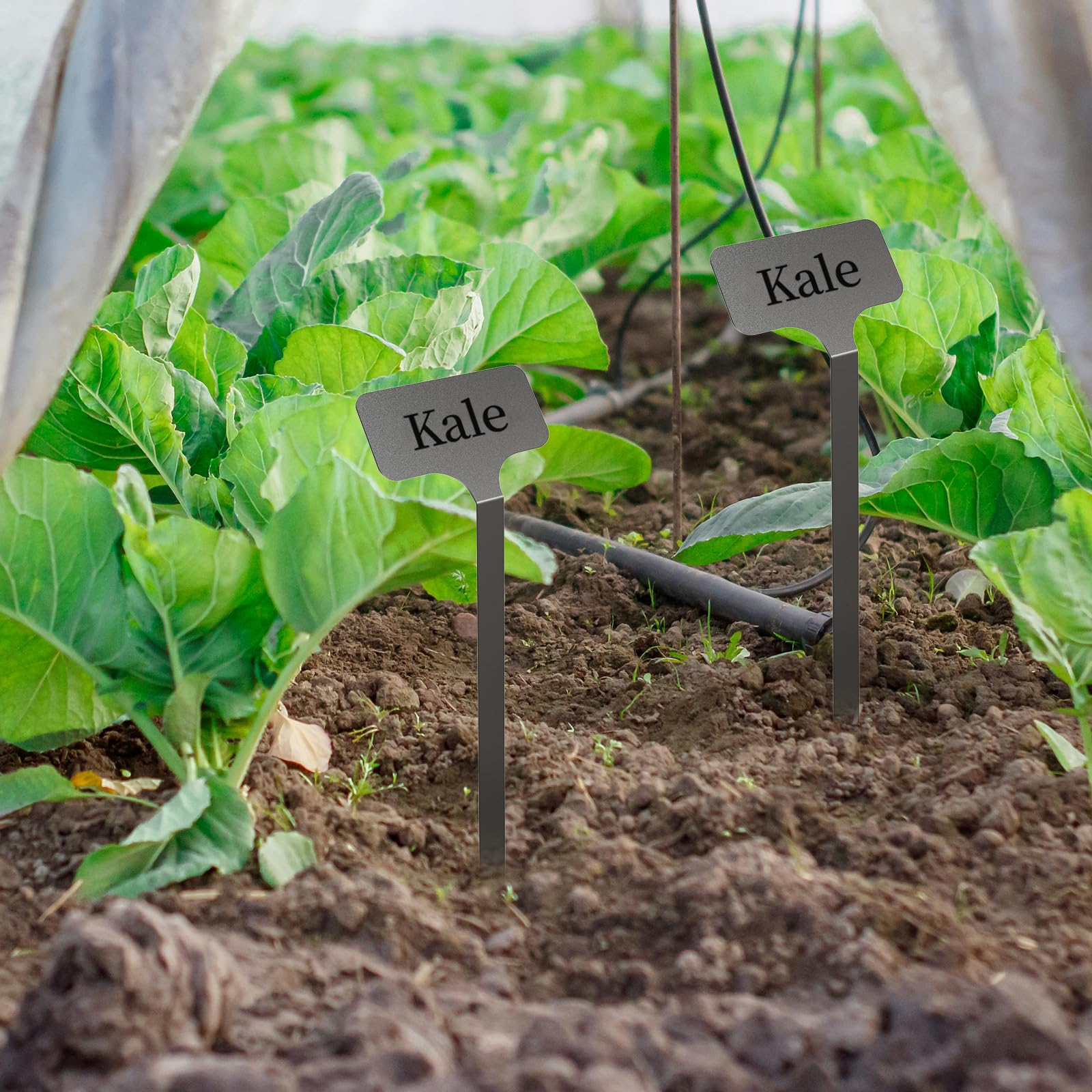 Lot de 10 étiquettes de jardin réutilisables en acier inoxydable, hauteur 32,4 cm, surface d'étiquette 6,3 x 3,2 cm, étiquettes réutilisables pour légumes, herbes, fleurs, graines, serres