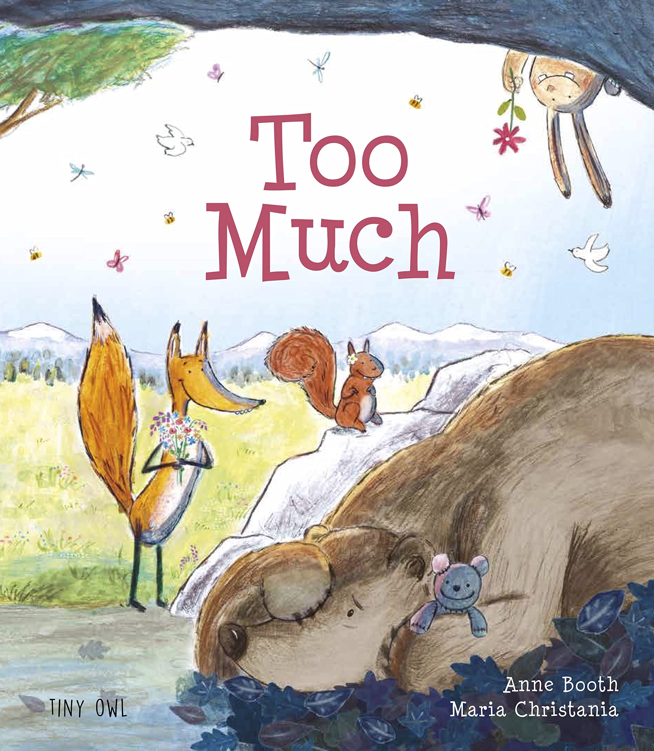 Too Much by Anne Booth PAPERBACK 9781910328927