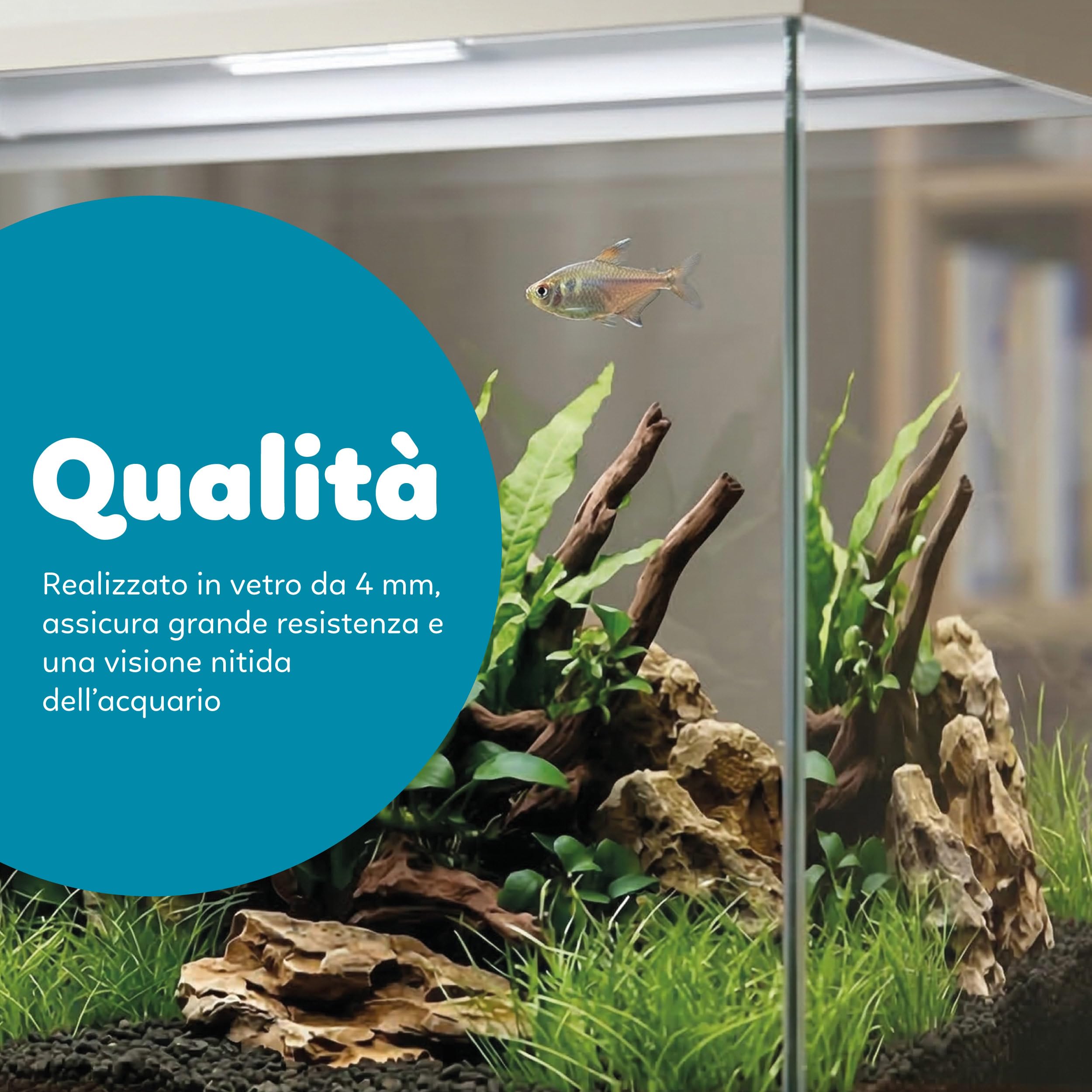 AQPET Acquario in Vetro per Pesci Tropicali Completo di Accessori Filtro Luce Simply, 30 39x22x30 cm 30 Litri, Bianco