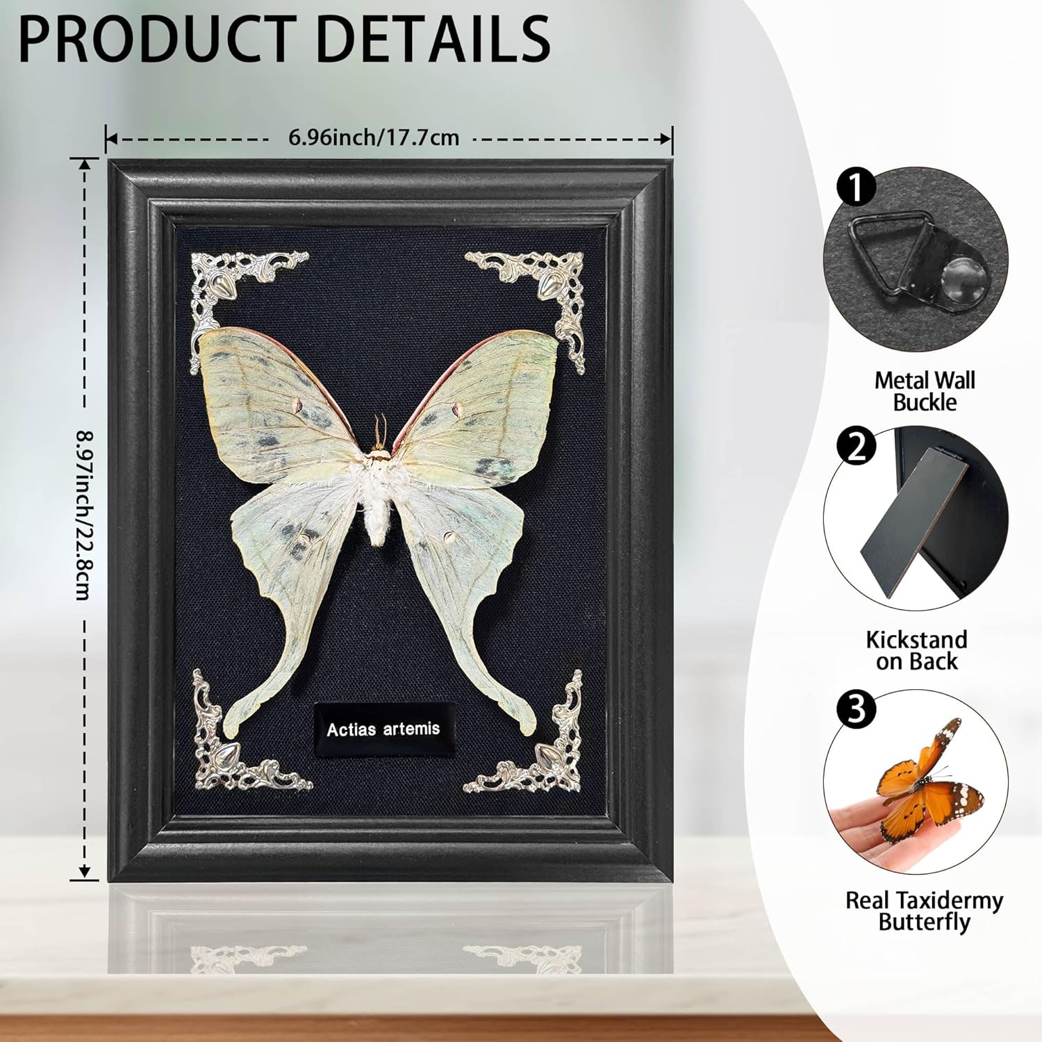 Taxidermy Butterfly Gothic Shadow Box, 6.9'' x 9'' Actias Selene Butterfly Wooden Framed Specimen Display Oddity Tabletop Wall Art Home Decor
