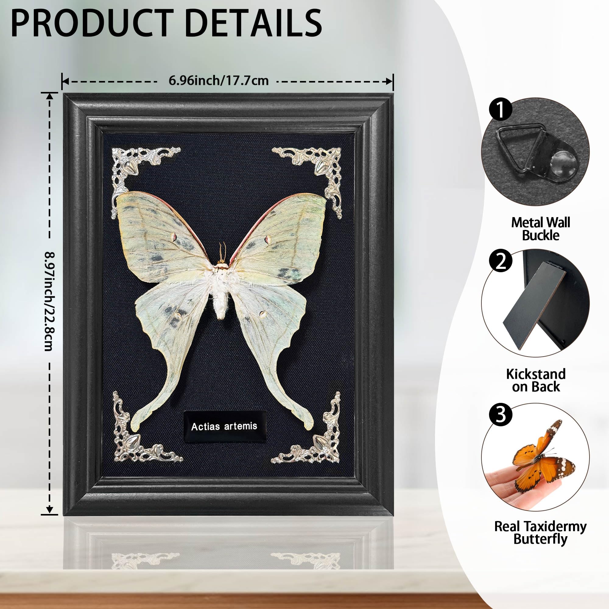 Taxidermy Butterfly Gothic Shadow Box, 6.9'' x 9''  Butterfly Wooden Framed Specimen Display Oddity Tabletop Wall Art Home Decor: Actias Selene
