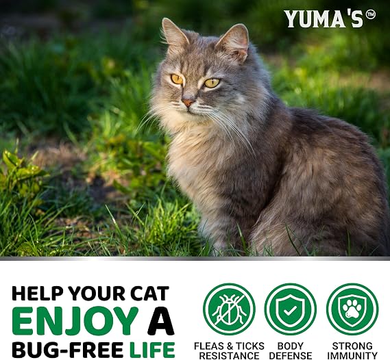 Flea Treatment for Cats - Flea and Tick Prevention for Cats - 160 Treats | Flea and Tick Control Treatment, Natural Oral Supplement Pills for Kittens - All Breeds & Ages - Made in USA