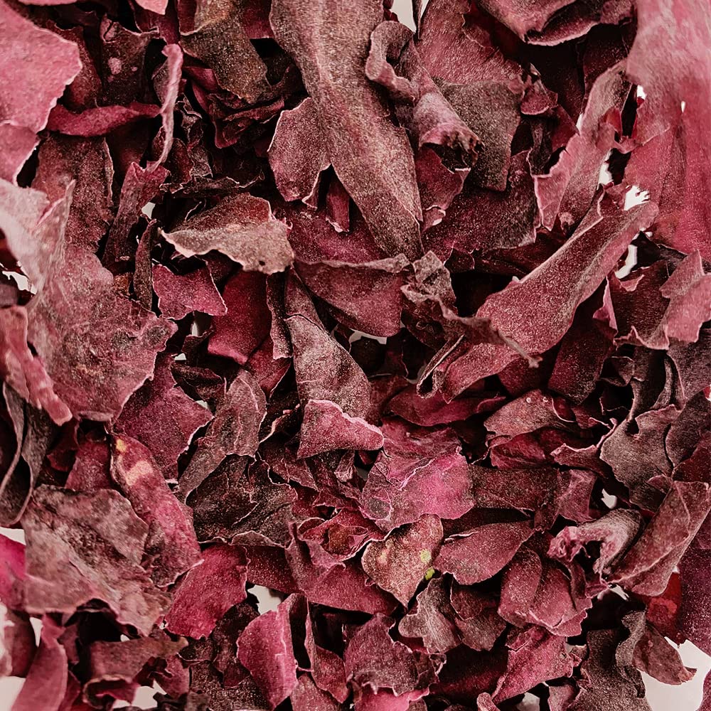 Alga disidratata Dulse Bio in Cannuccia – 50 g – Made in France – per insalate e pesci, ricche di proteine, vitamine, ido, ferro e potassio