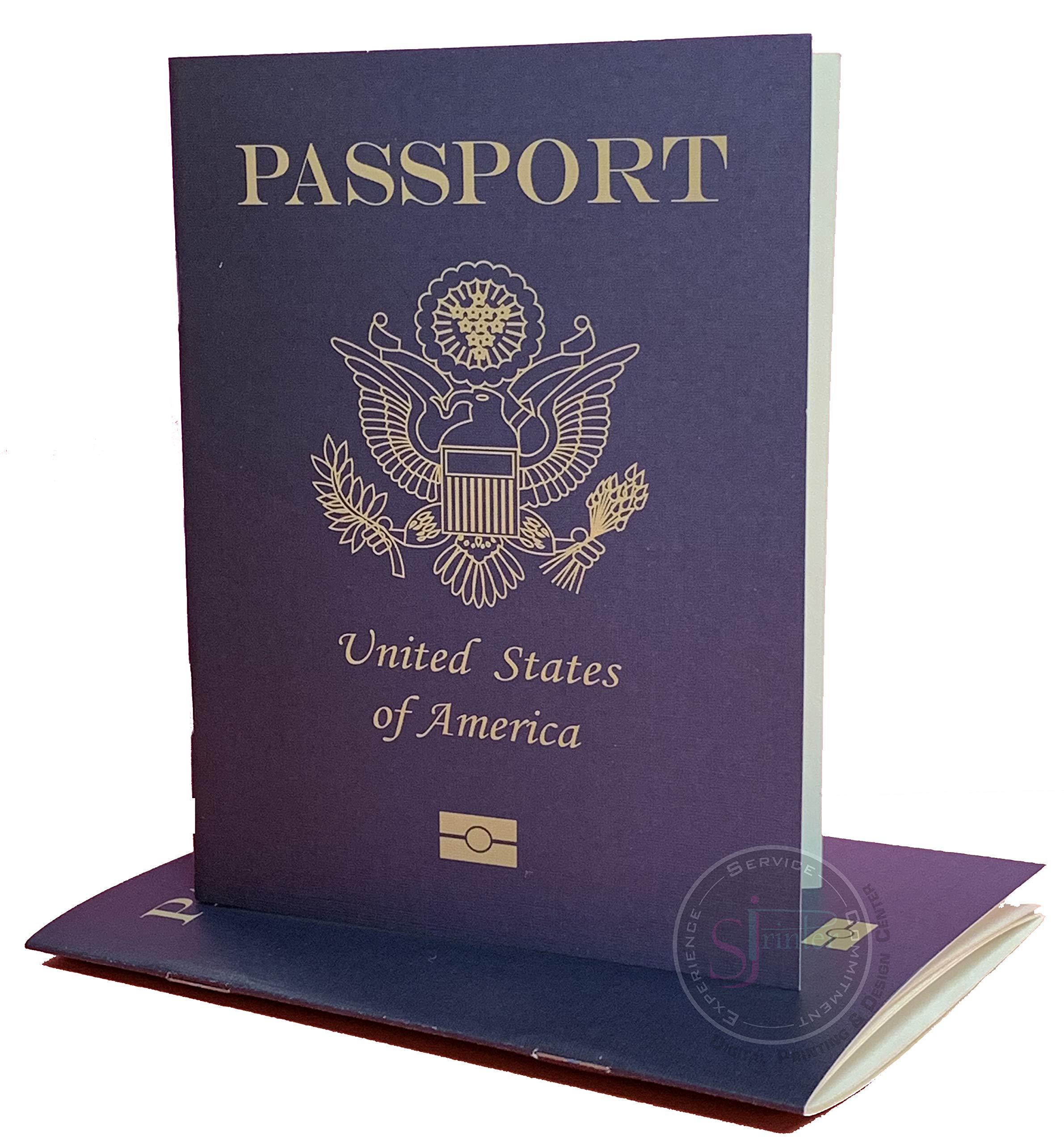 SJPRINTER Cuaderno de pasaporte en blanco | Pequeños pasaportes | Proyectos escolares, regalos de fiesta, juguete de avión, diario de viaje, geografía, estudio social en el aula (solo 18 pasaportes)
