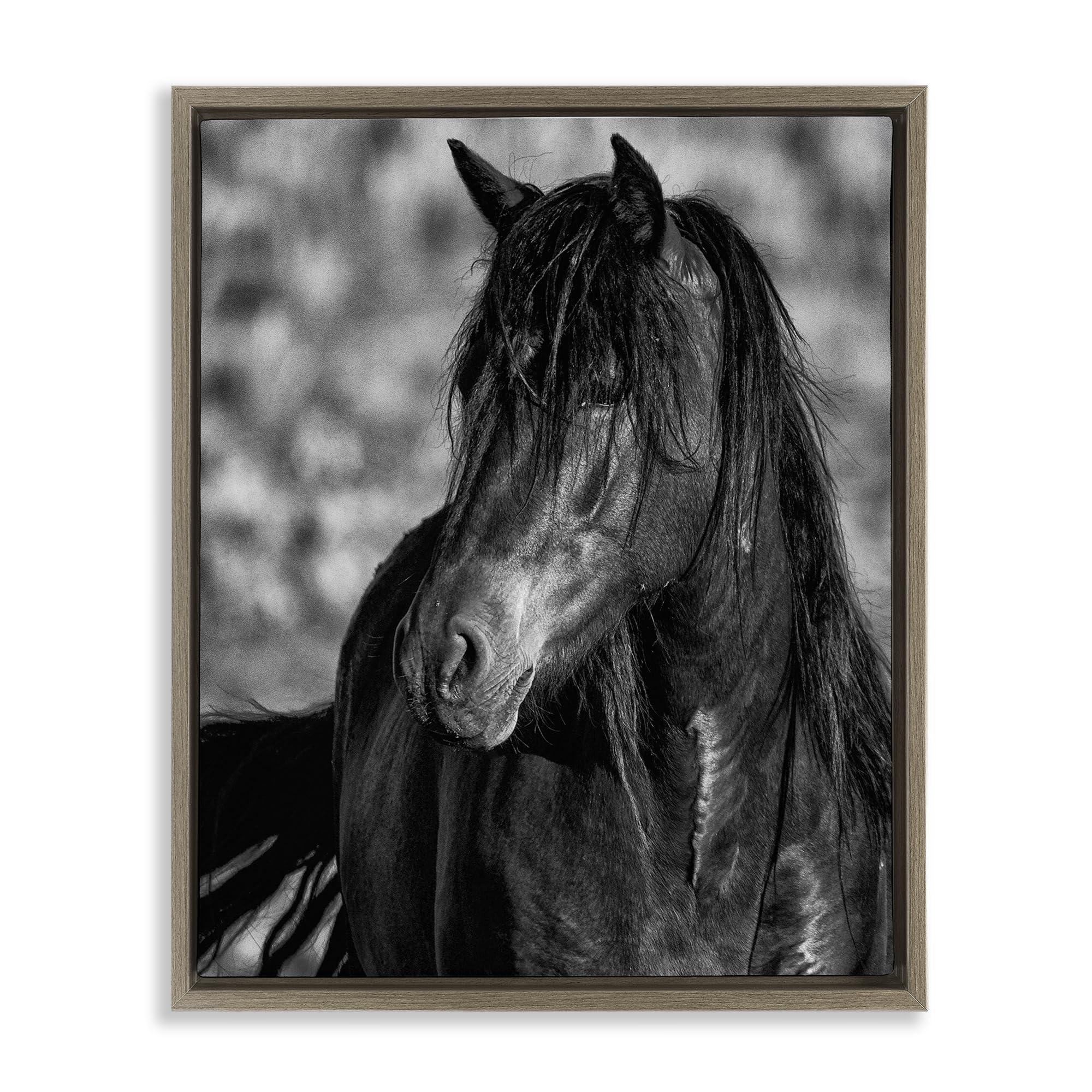 Stupell Industries Montalcino Elm (Textured) 'Beauty In Black', Floating Frame Canvas Art, Brown, 17 X 21 Inches, Easy To Hang And Sturdy, Made In Usa, By Tim West