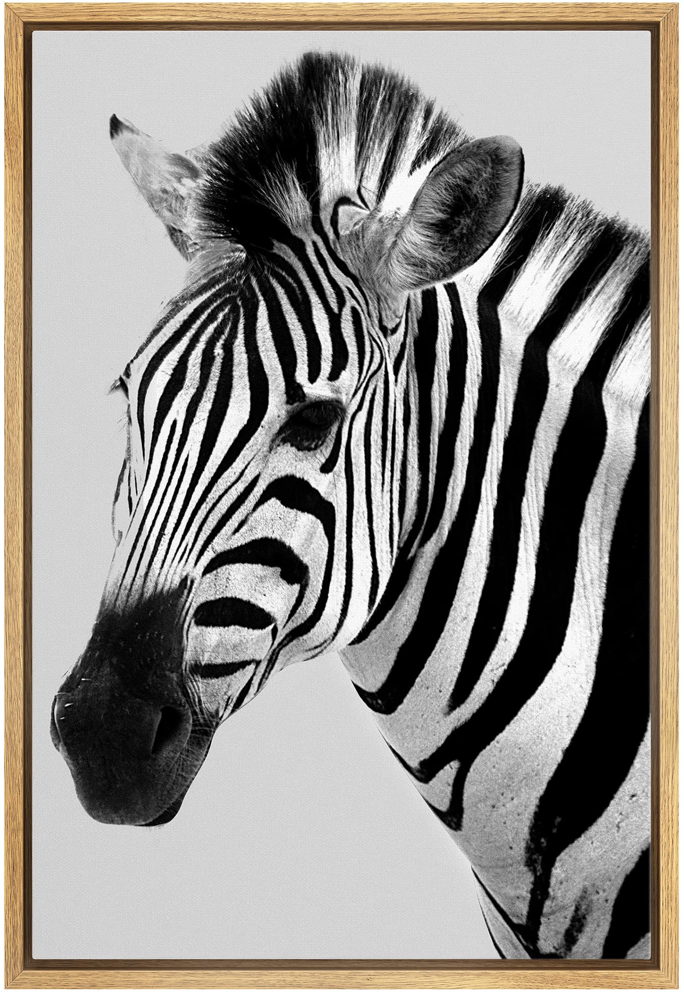 wall26 framed canvas print wall art black and white striped zebra portrait animals wildlife photography modern portrait relax/calm multicolor for living room, bedroom, office - 16x24 natural