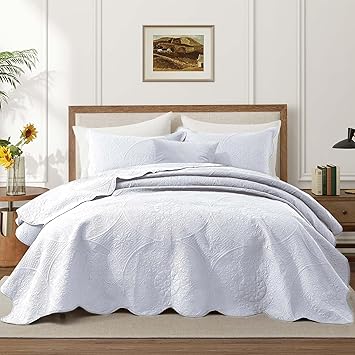 IR Imperial Rooms Queen Quilt Bedding Set Size (90" x 96") + 2 Pillow Shams (20" x 26"+ 2") - 3 Pcs All Season Lightweight Reversible Microfiber Coverlet Floral Embossed Quilt Bedspread (White)
