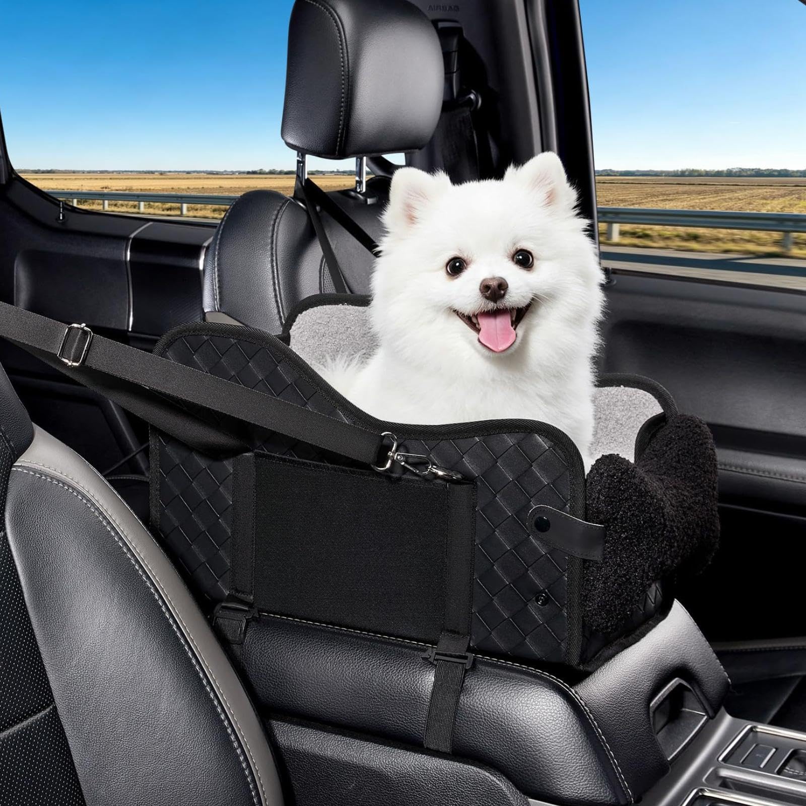Cama para Mascotas con apoyabrazos Central con Almohadilla