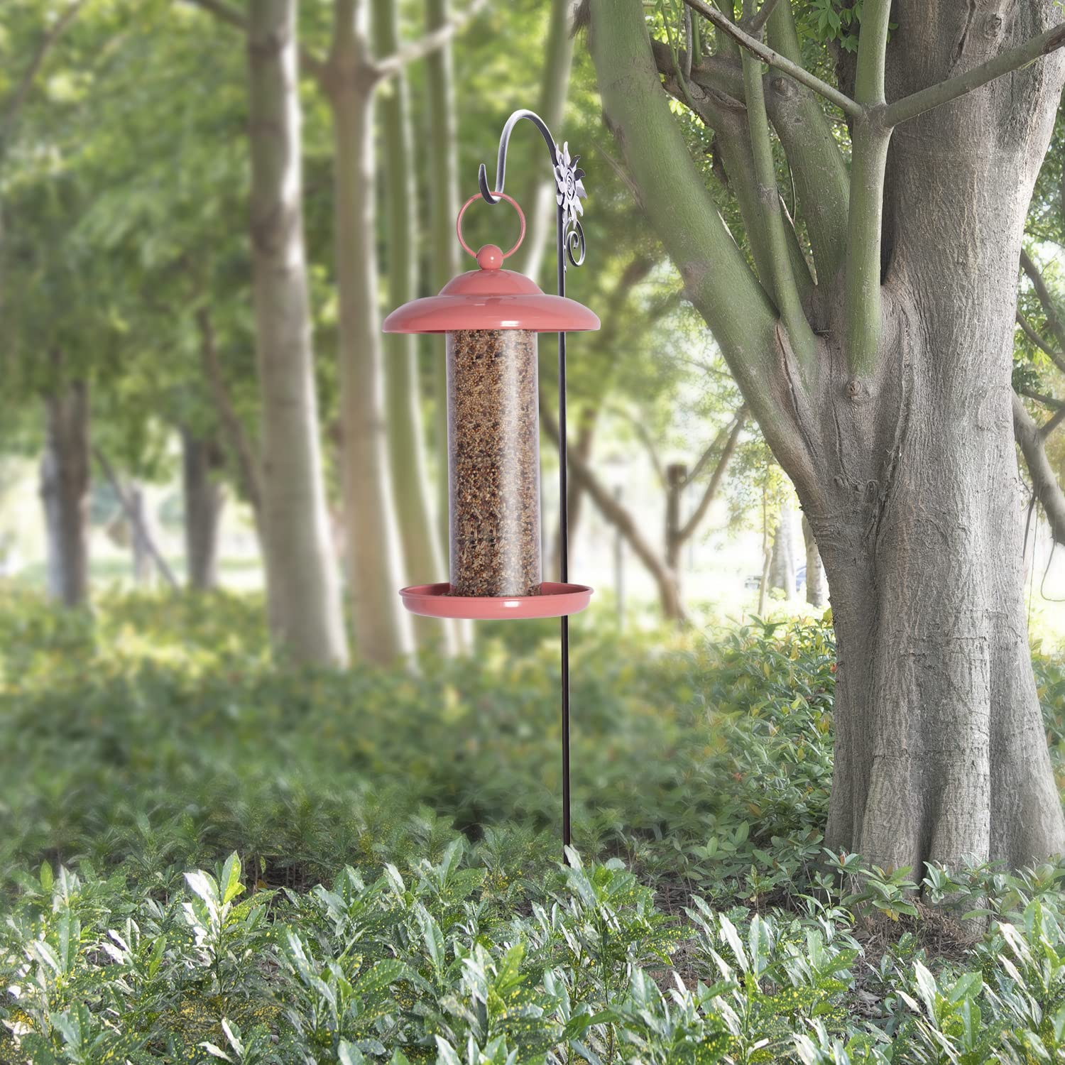 Mangiatoia per Uccelli da Esterno da Appendere, mangiatoia per Uccelli a Prova di Scoiattolo e Cortile Decorativo da Giardino per osservatori di Uccelli