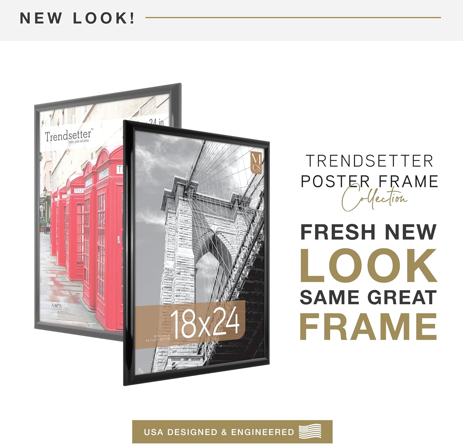 MCS Trendsetter 18x24 Poster Frame Black High-Gloss, Vertical & Horizontal Wall Hanging Large Picture Frame for Photos, Posters & Art Prints (2-Pack) 2-Pack 18x24