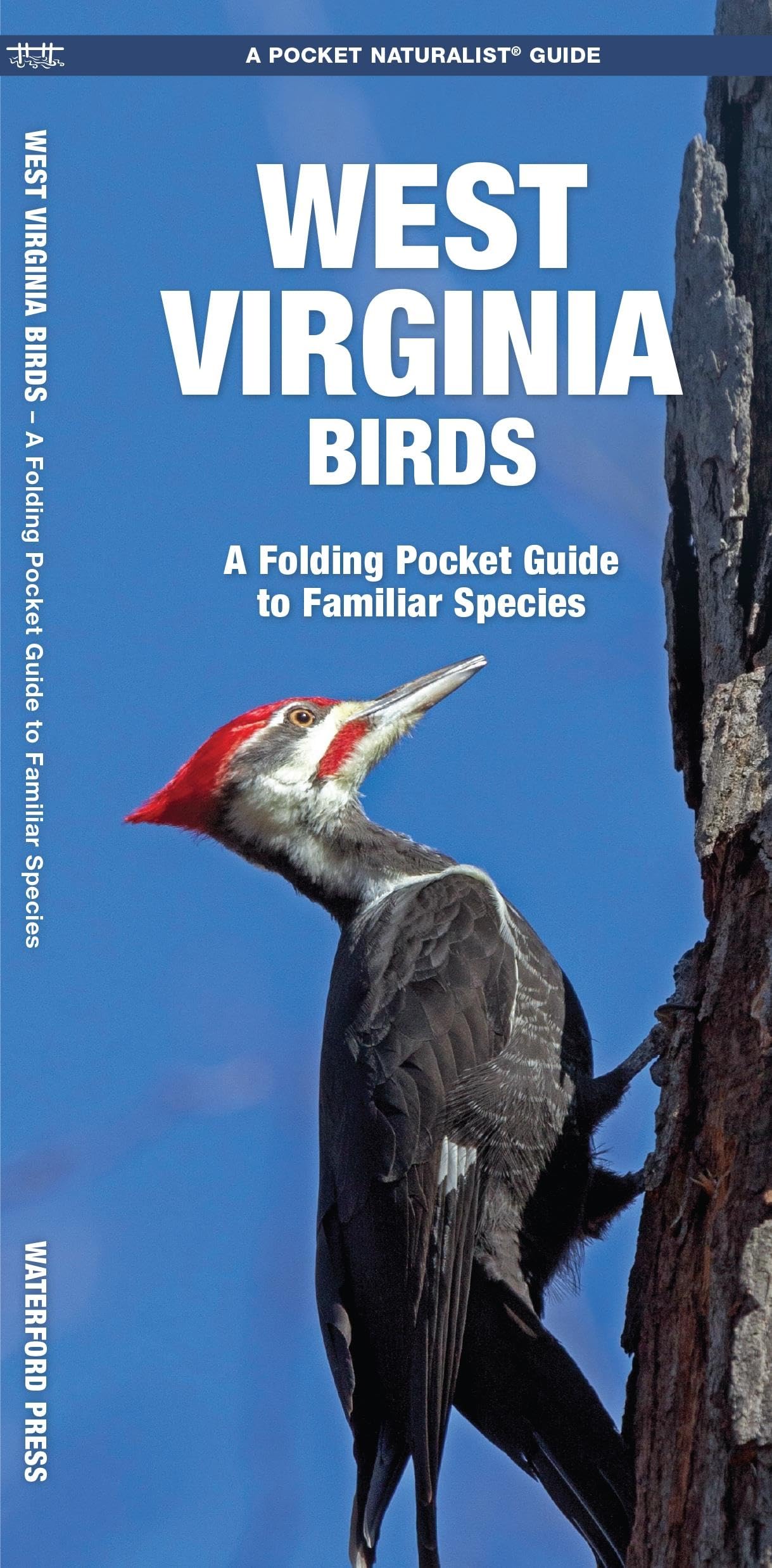 West Virginia Birds: A Folding Pocket Guide to Familiar Species (Nature Observation North America)