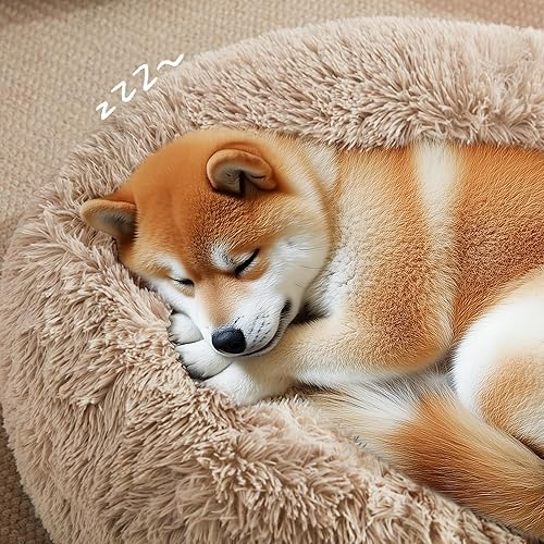 Miniatura 10 de Love's cabin, Cama para gatos de interiores con base lavable con lavadora, resistente al agua, cojín suave para perro y gato para alivio de