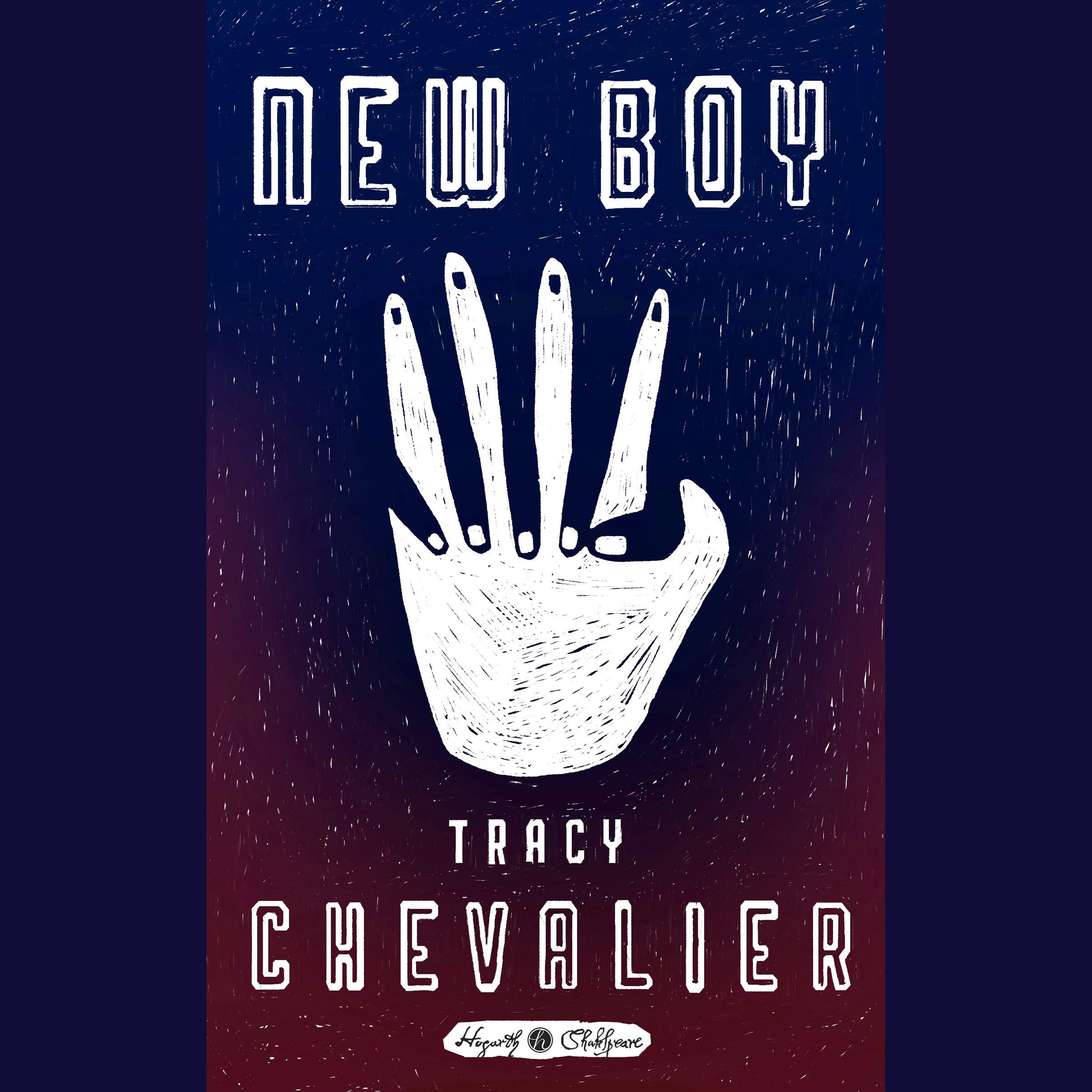 Cover art for New Boy