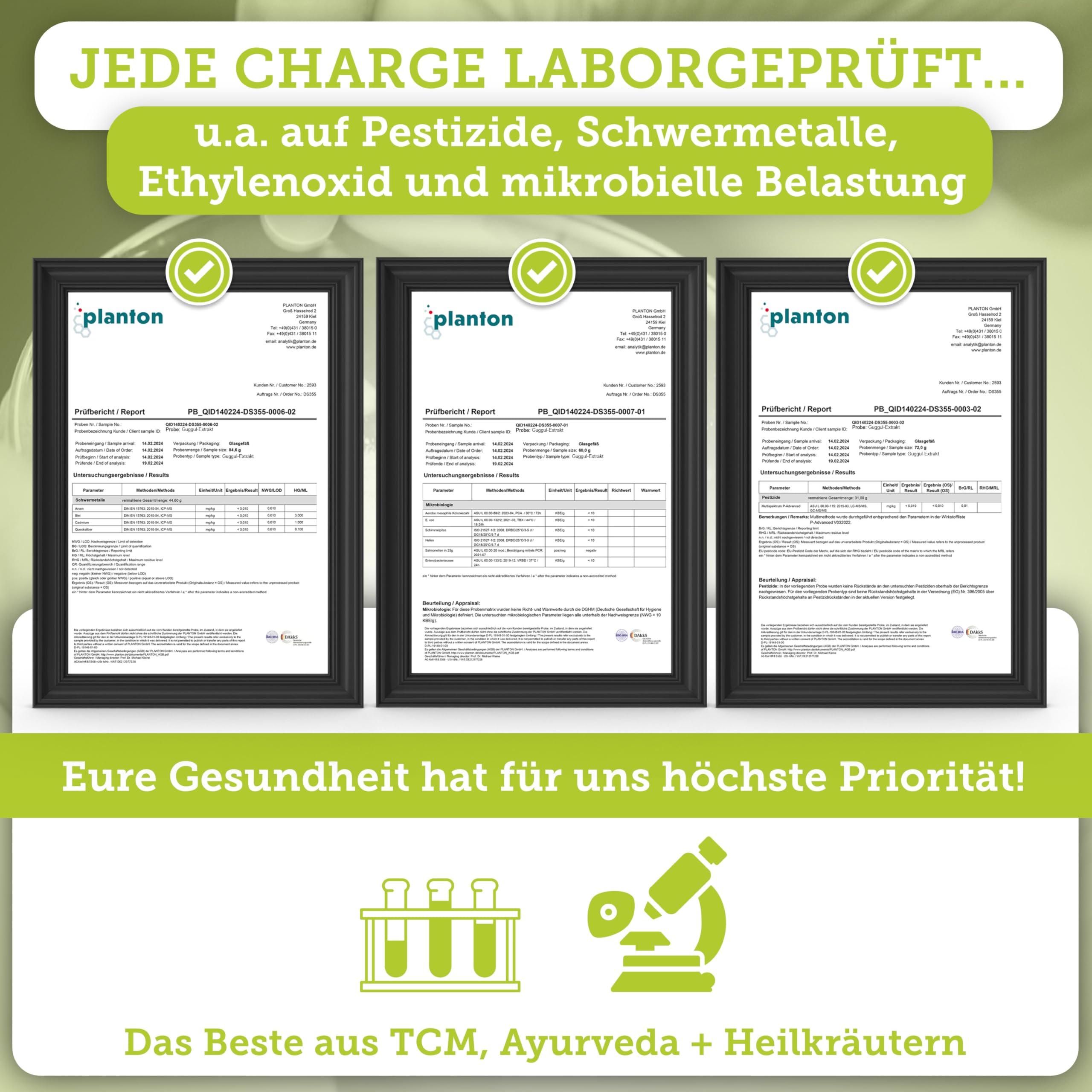 QIDOSHA® Guggul Extrakt Kapseln hochdosiert mit 10% Guggulsterone, 120 Guggulu Kapseln im Apothekerglas, Guggulu Extrakt 500mg je Kapsel mit 50mg Guggulsterone, höchster Guggulsterone-Anteil am Markt
