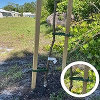 Vista 3 de 8 bandas de soporte para estacas de árbol, correas de árbol para estacas, entrelazado ajustable resistente, reutilizables, para plantas de jardín