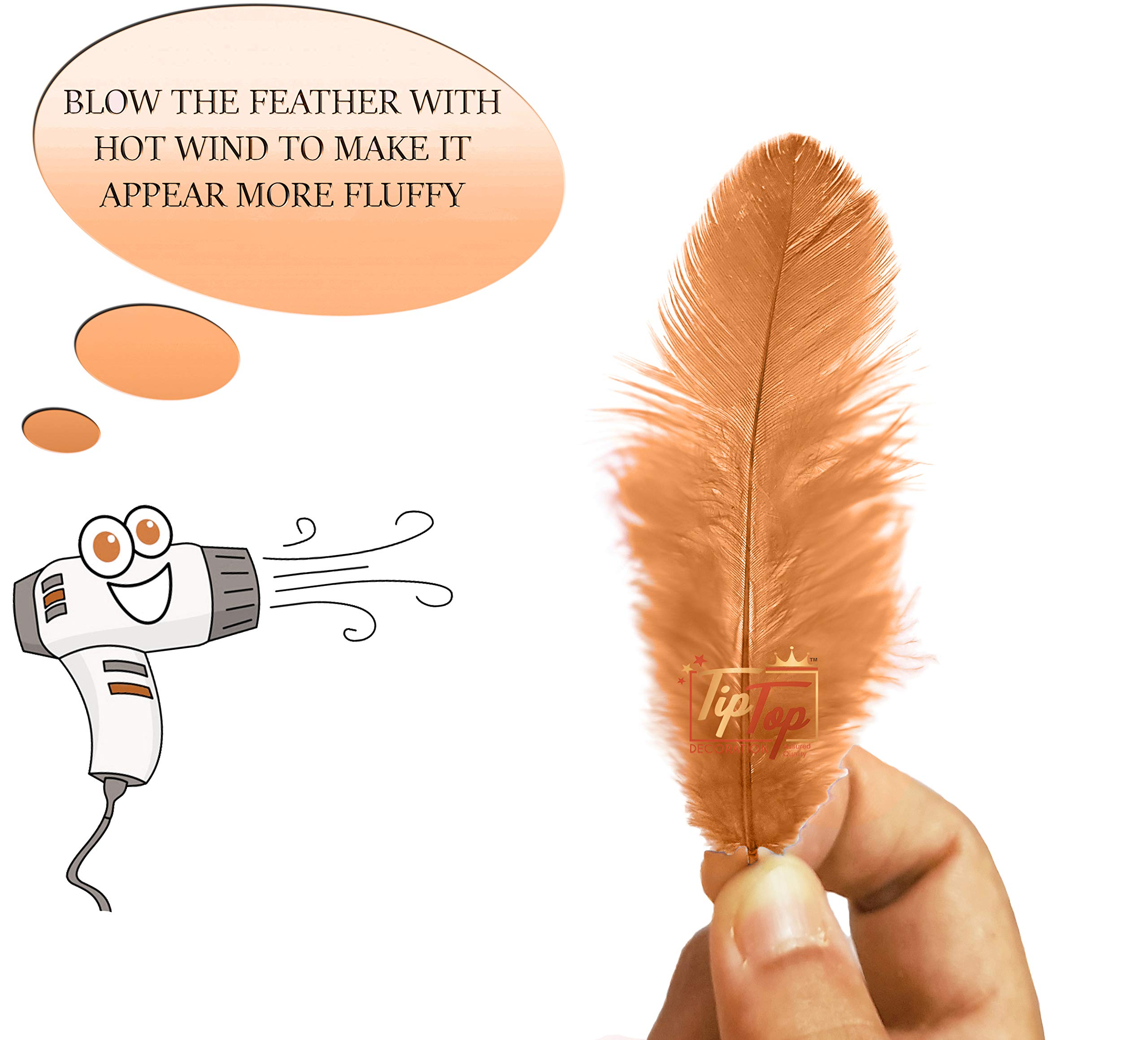 TIPTOP DECORATION Natural Dyed Feathers 10 cm (80 pieces) (Light Brown) 2