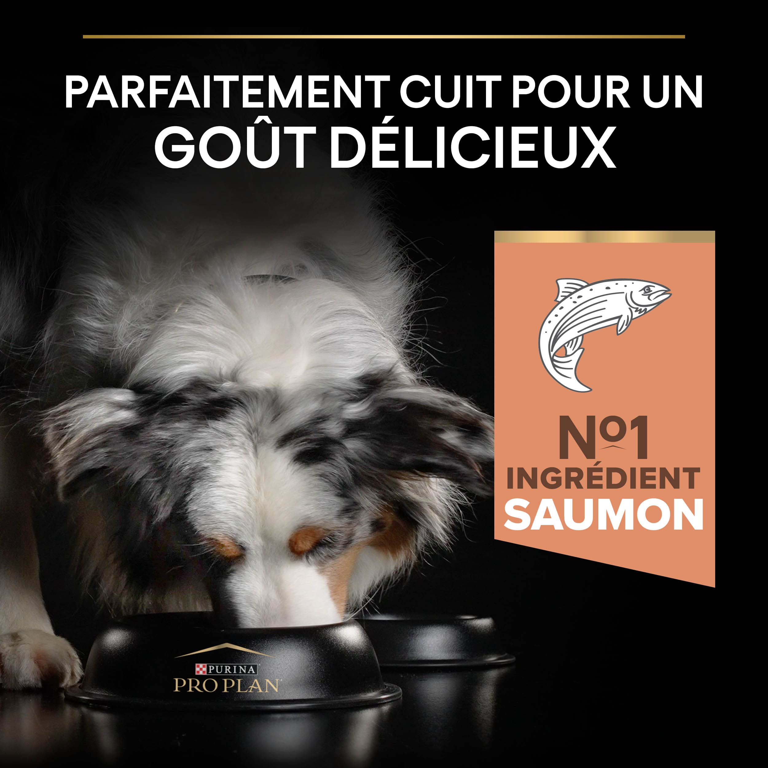 PURINA PRO PLAN | Sensitive Skin | Croquettes complètes pour chiens de moyenne/grande taille de plus de 7ans | Favorise une peau saine, un pelage brillant | Saumon | Croquettes | Sac | Lot de 4 x 3 Kg