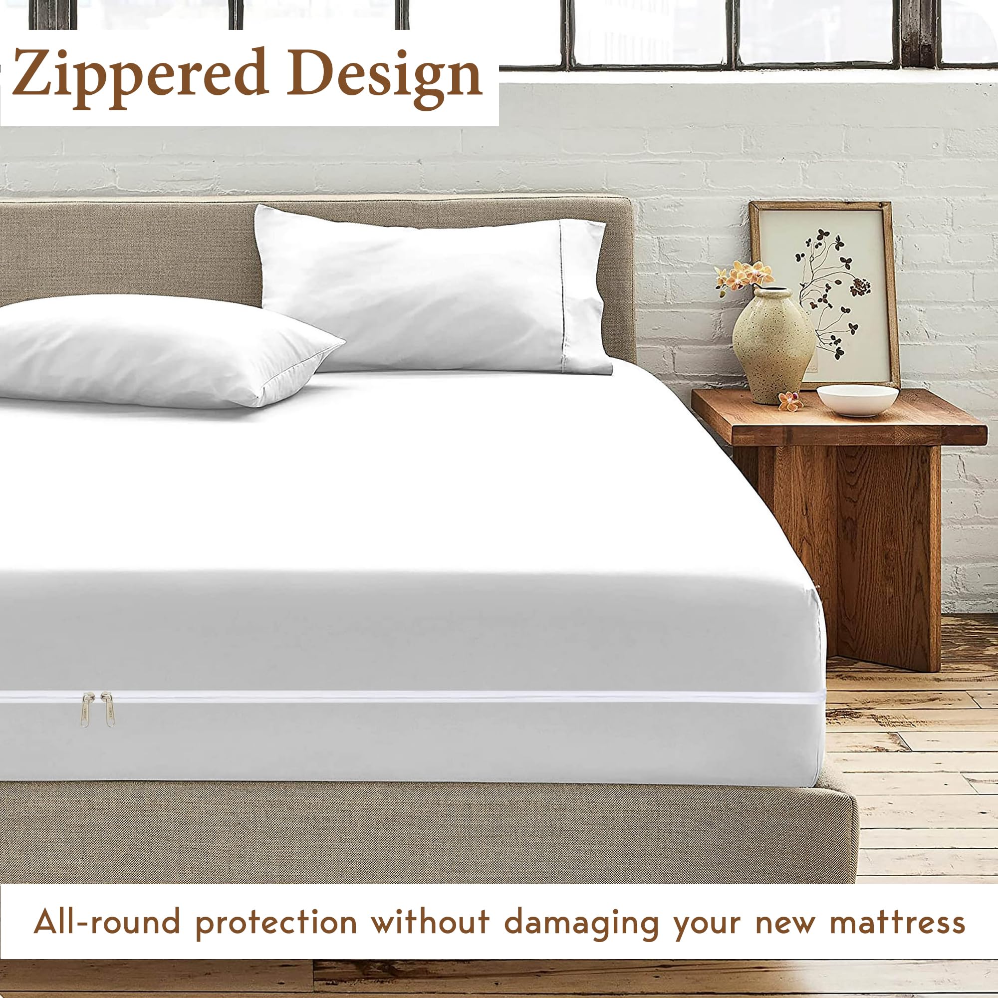 Amazon.com: Quick'z 1 Pcs Zipper Fitted Sheet 600 TC 100