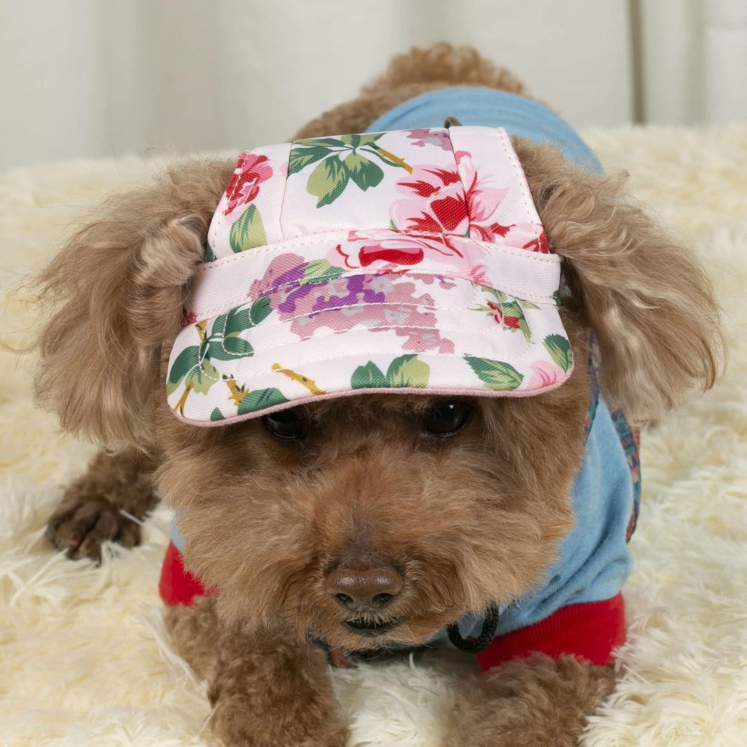 Personalized Dog Hats Embroidered Baseball Cap with Ear Holes Adjustable Outdoor Sport Sun Protection Visor Sunbonnet Hat Cap for Puppy Small, Medium, Large Dogs Cat Pet