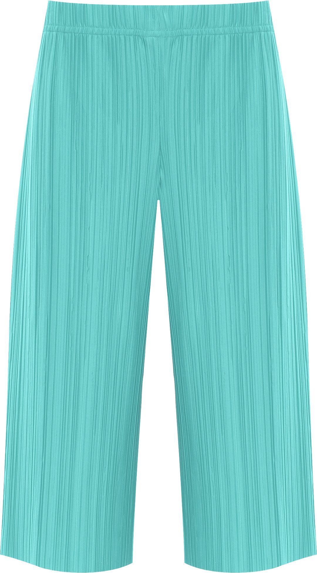 WearAll Women's Plus Pleated Elasticated Culottes Ladies Stretch Baggy Fit Shorts Pants - Jade - 12-14