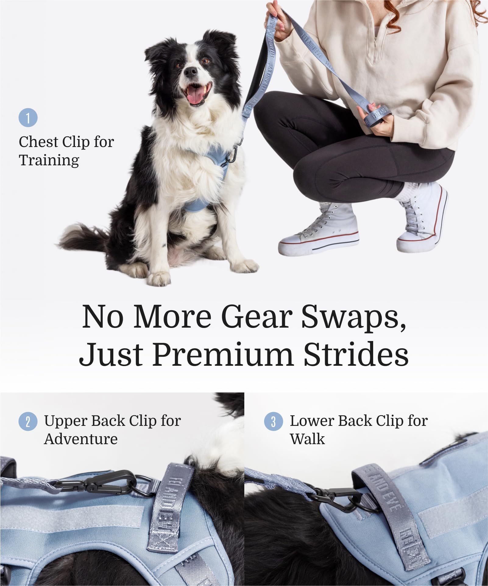 2026 New Edition, Fei & Eve MagEase Dog Harness - 3-Second Magnetic Buckles | 3-Point No-Pull Control | Heavy-Duty 900D Nylon | Dual Safety Handles | Breathable Mesh | Adjustable Fit | X-Large, Blue - image 3