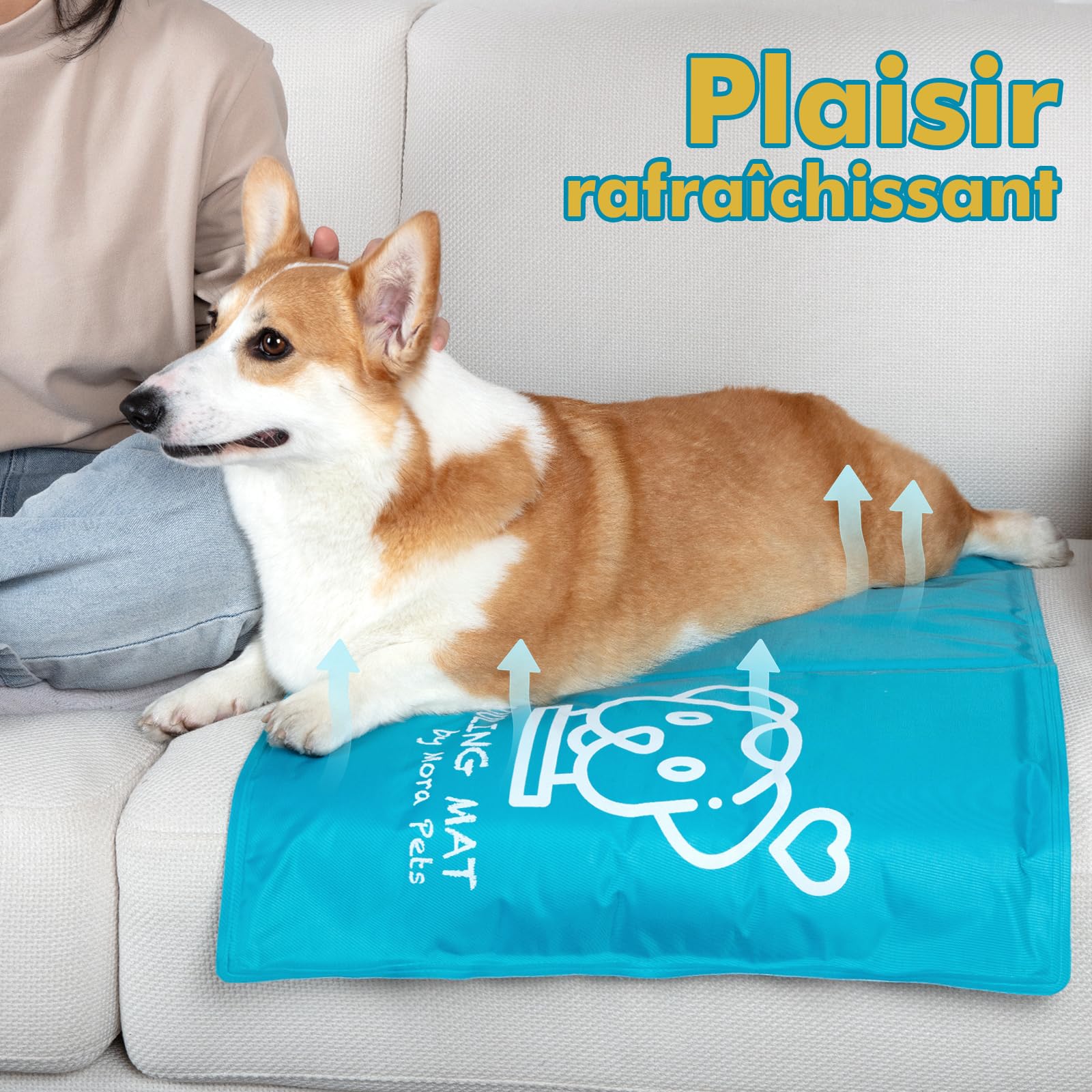 Pawtasy Tapis Rafraichissant pour Chats et Chien Matelas Refroidissant Gel Non Toxique Tapis Fraicheur pour Animaux de Compagnie Matelas Refrigerant Étanche et Facile à Nettoyer M 65 x 50 cm, Bleu