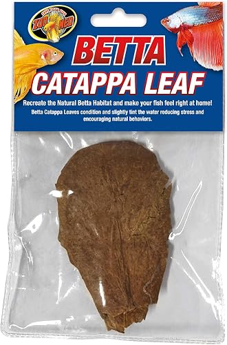 Zoo Med Betta Catappa Lot de 3 feuilles Marron