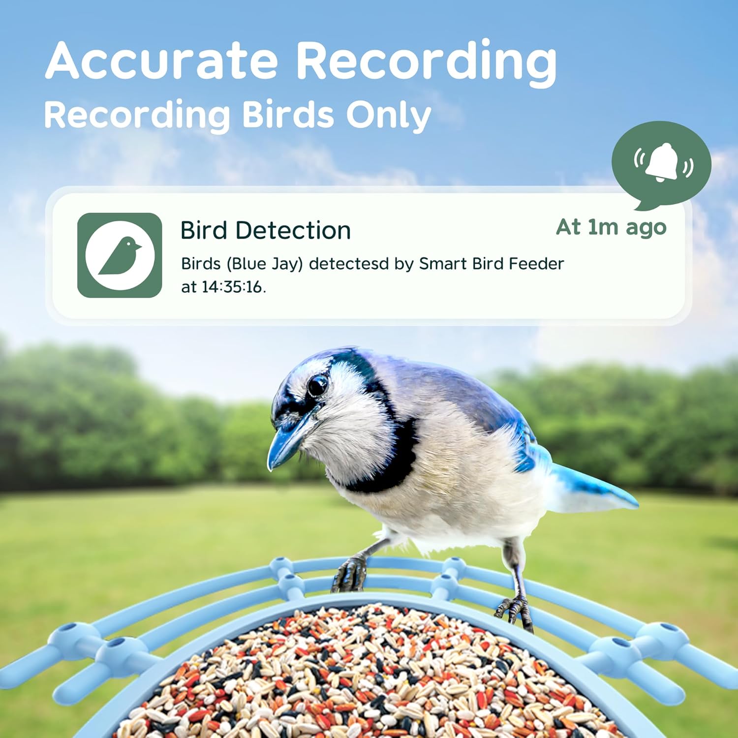Bird Feeder with Camera, Smart Bird Feeder Camera Solar Powered with 1080P HD AI Identify, Cloud Video & Motion Detection for Birdwatching