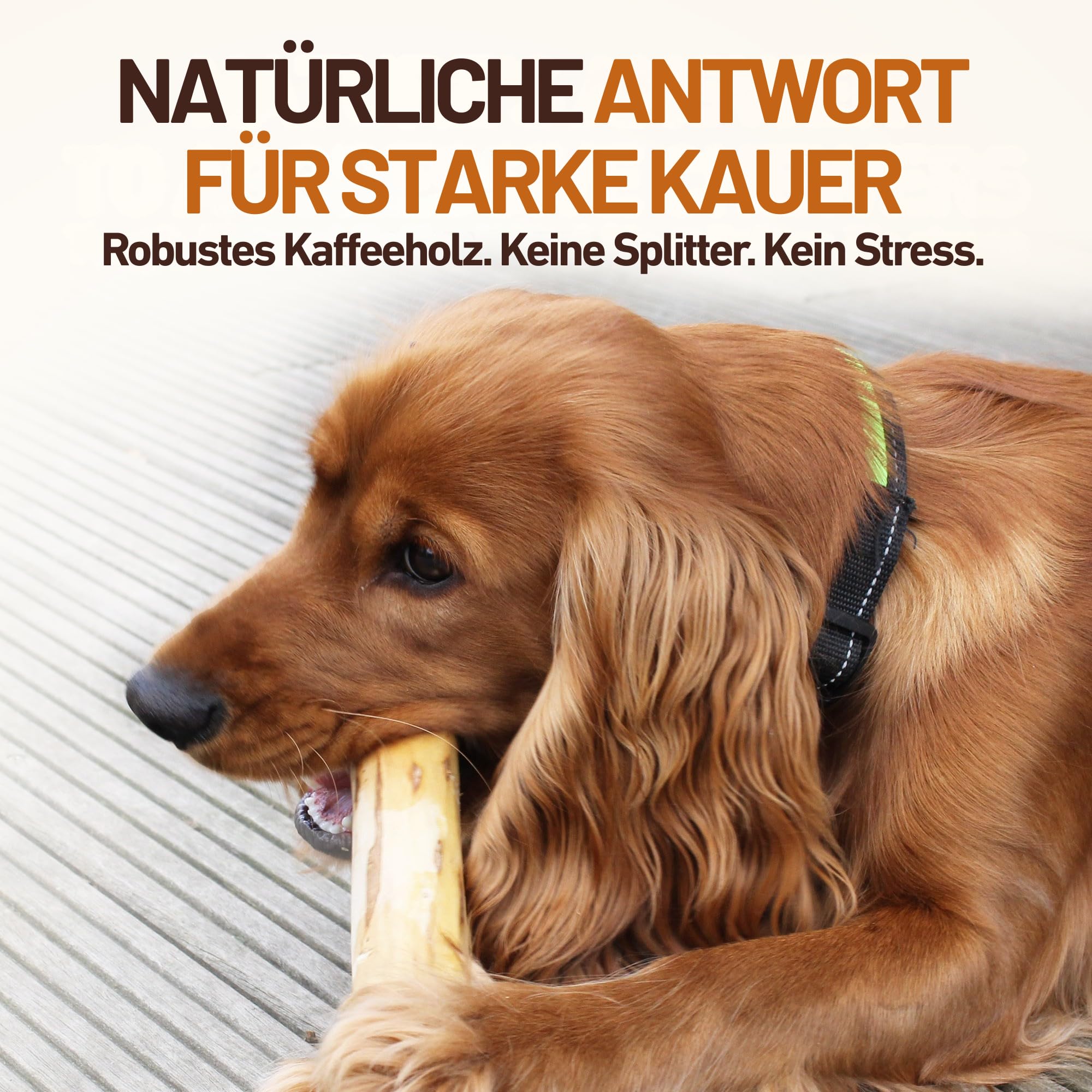Wildfang® Kaffeeholz für Hunde mit Lachsöl – Kauspielzeug aus Kaffeeholz für Aggressive Kauer und Welpen im Zahnwechsel. Zahnpflege-Spielzeug für Hunde, Größe L (über 25 kg), 3er-Pack