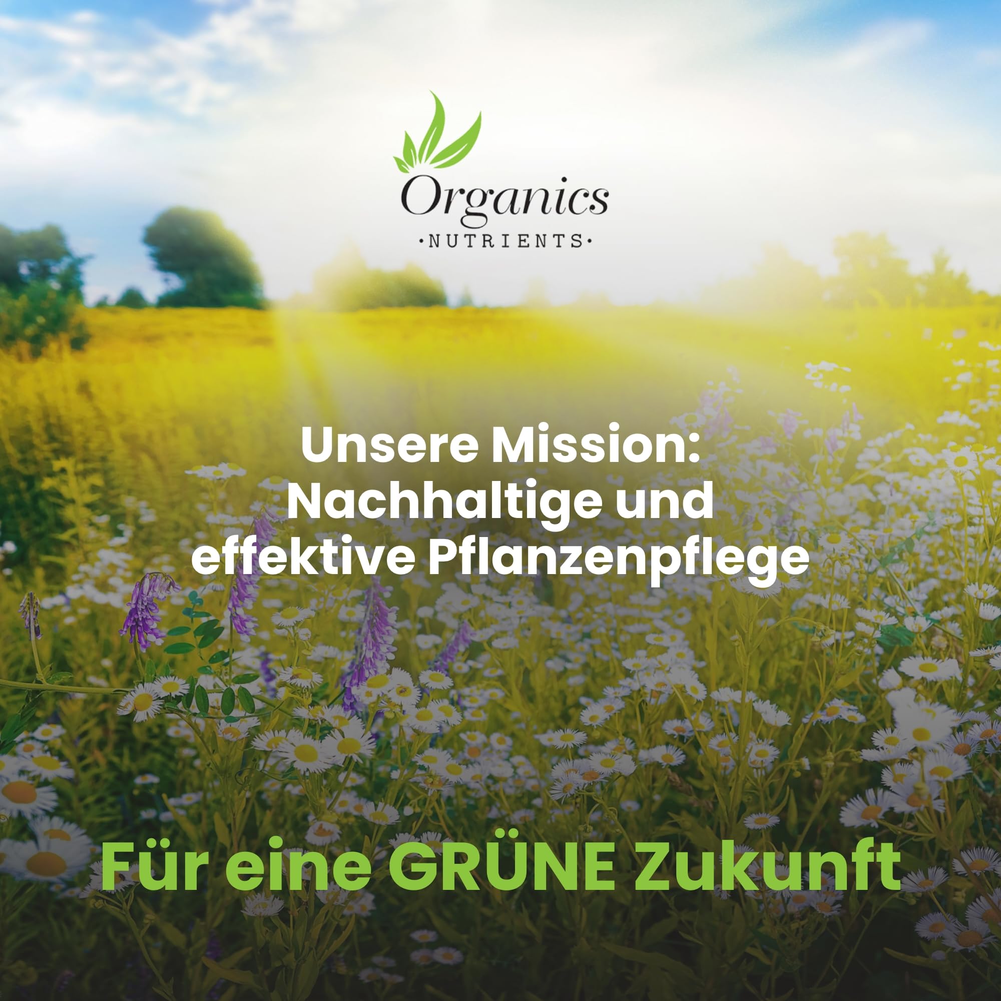 PK juice, Organischer Flüssigdünger für Gemüse, Topfpflanzen, Balkonpflanzen, Kräuter und Garten