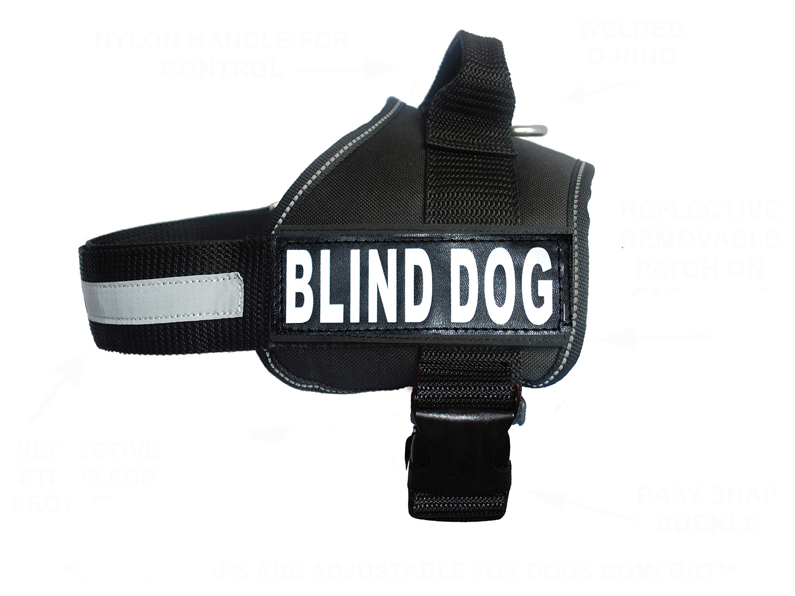 How Do You Measure A Dog For A Vest